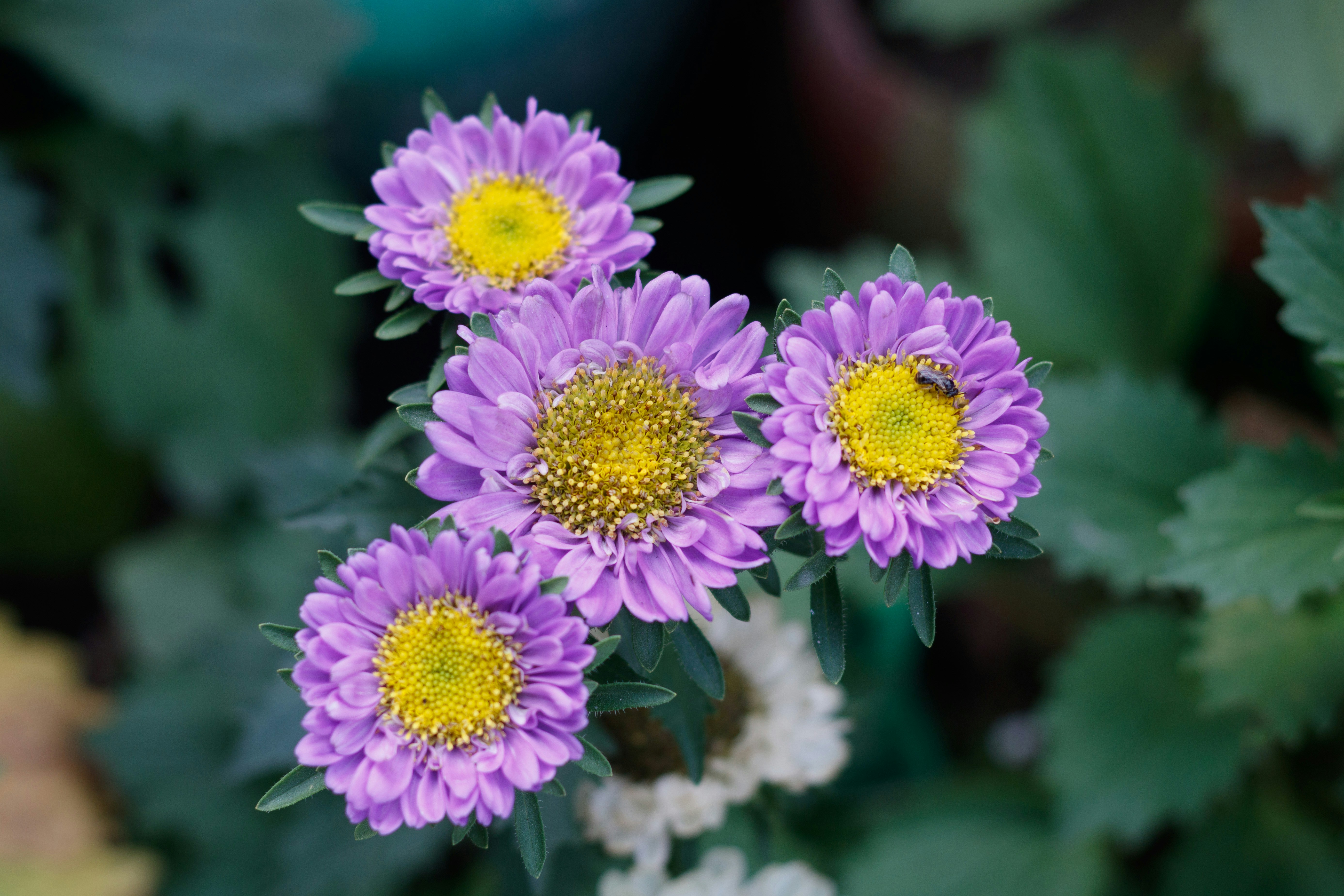 Photo by 5milliseconds