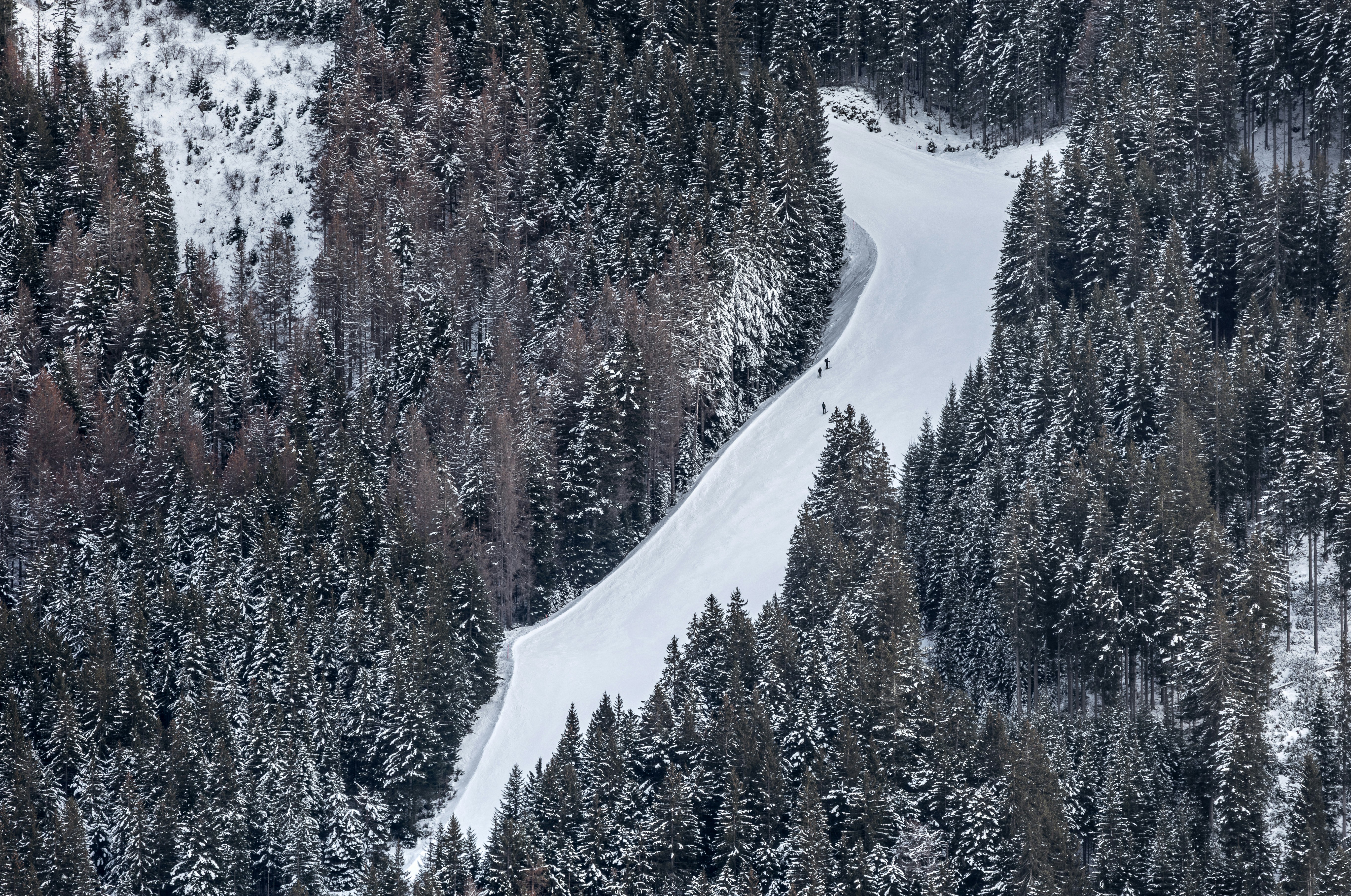 A groomed ski slope cuts through a snowy forest.