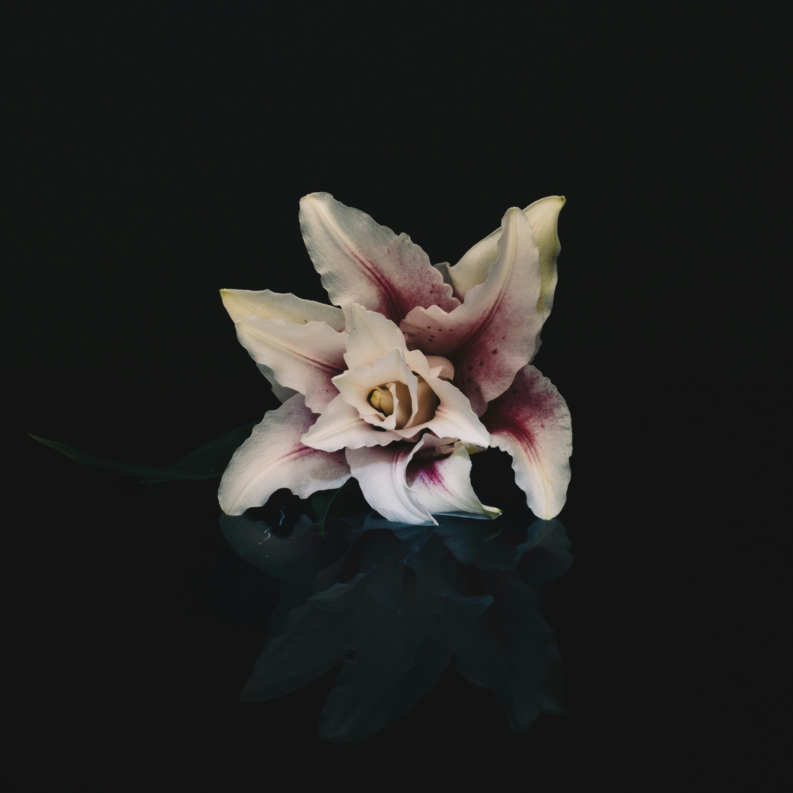 Photo by evieshaffer