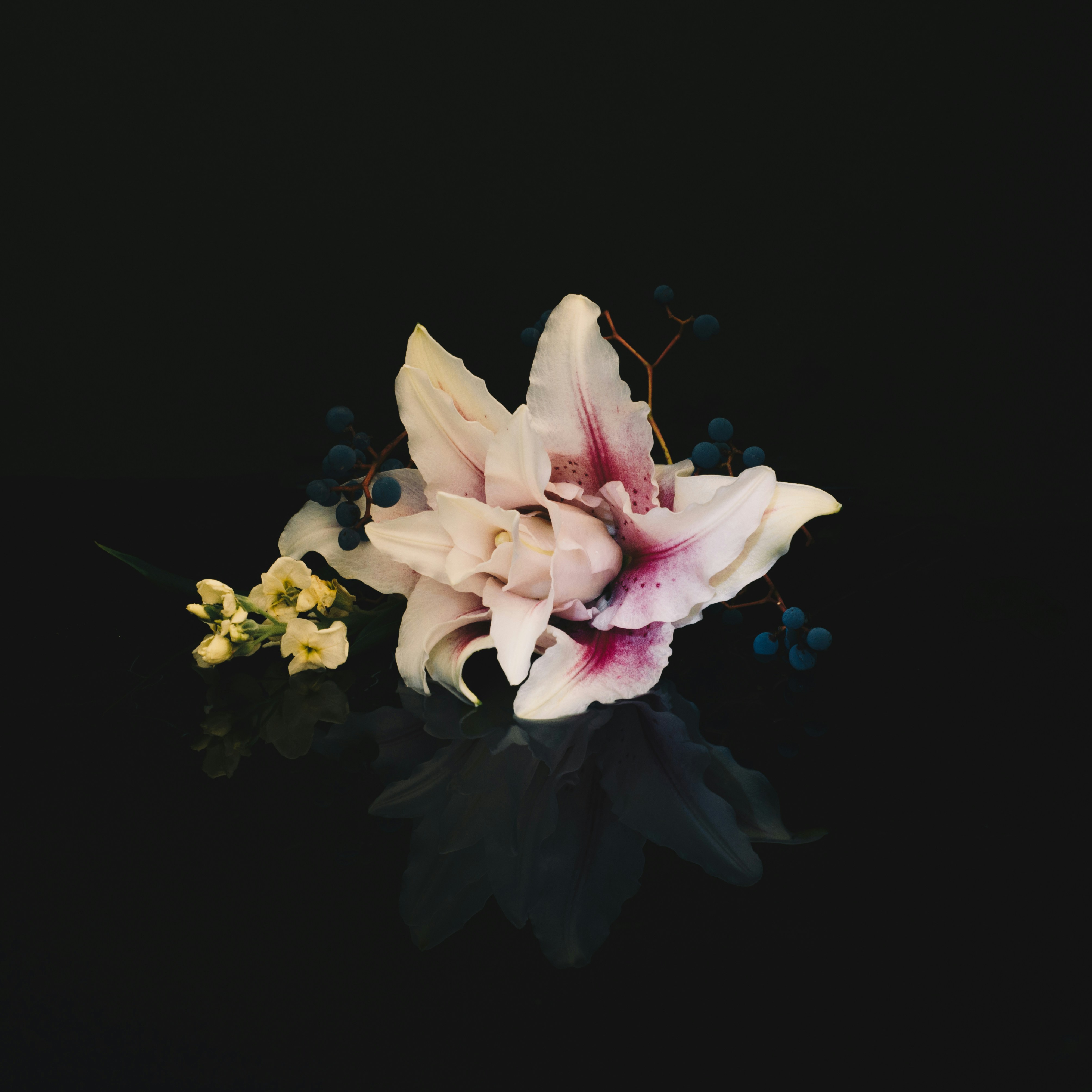 Photo by evieshaffer