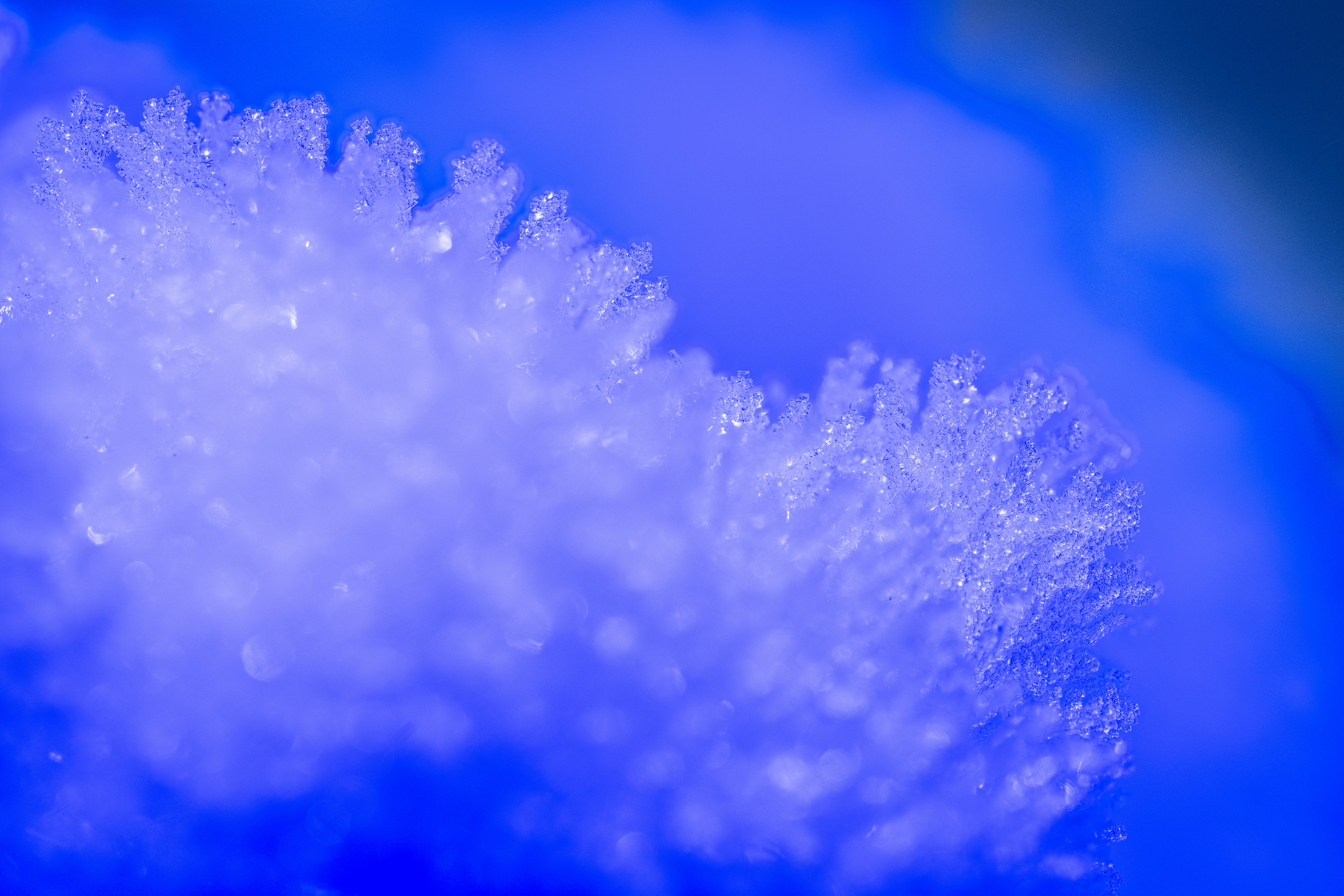 Primer plano de delicados cristales de escarcha sobre un fondo azul