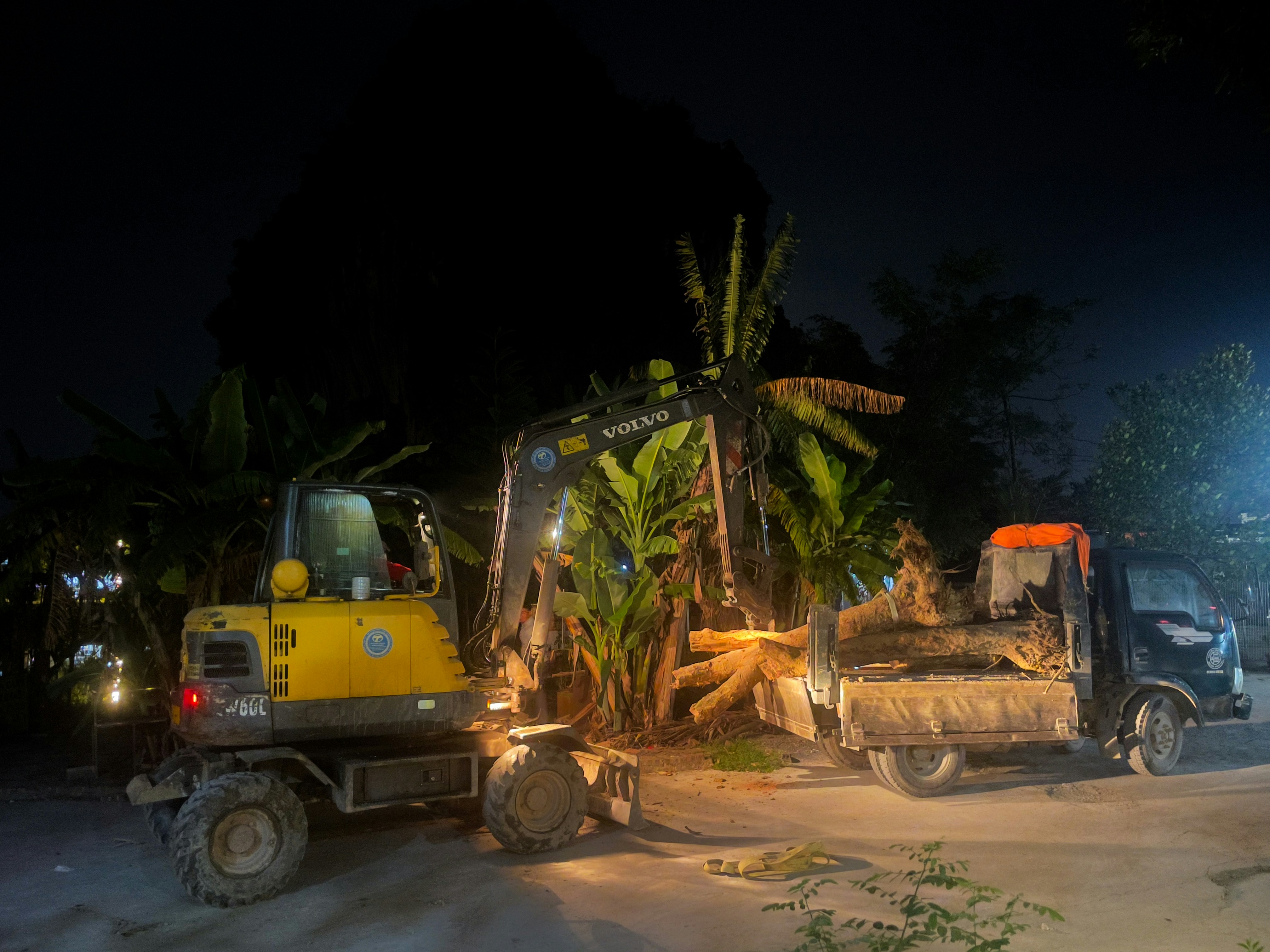 Escavatore che carica i tronchi sul camion di notte
