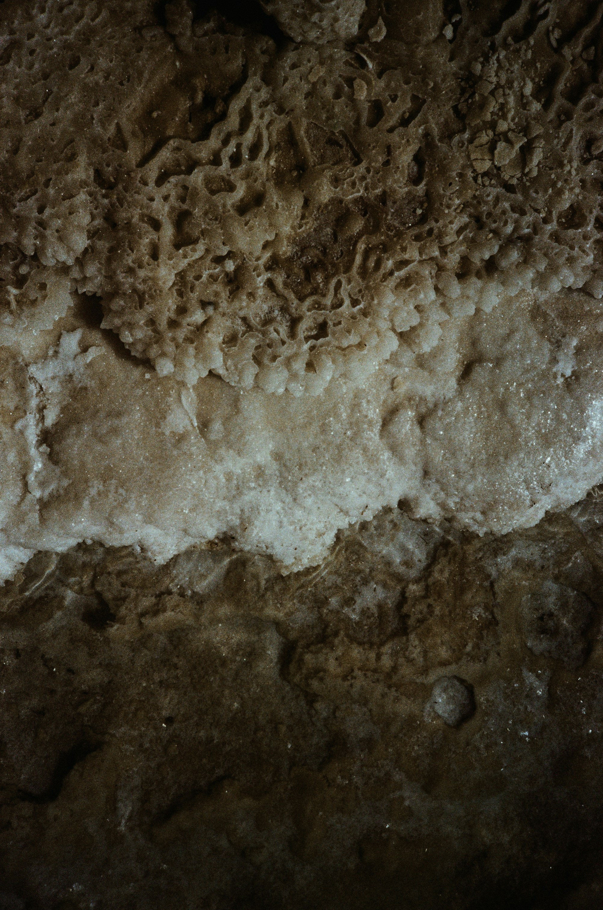 Close-up of textured cave wall with mineral deposits