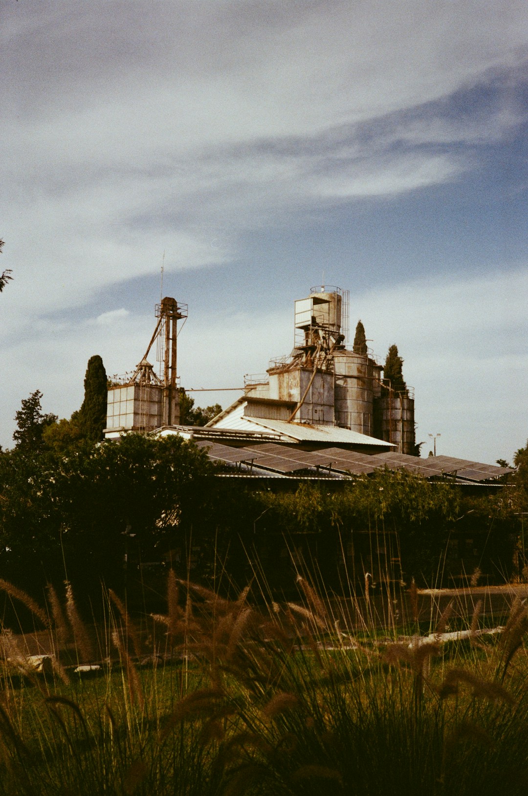 Sustainability Initiatives Image 2