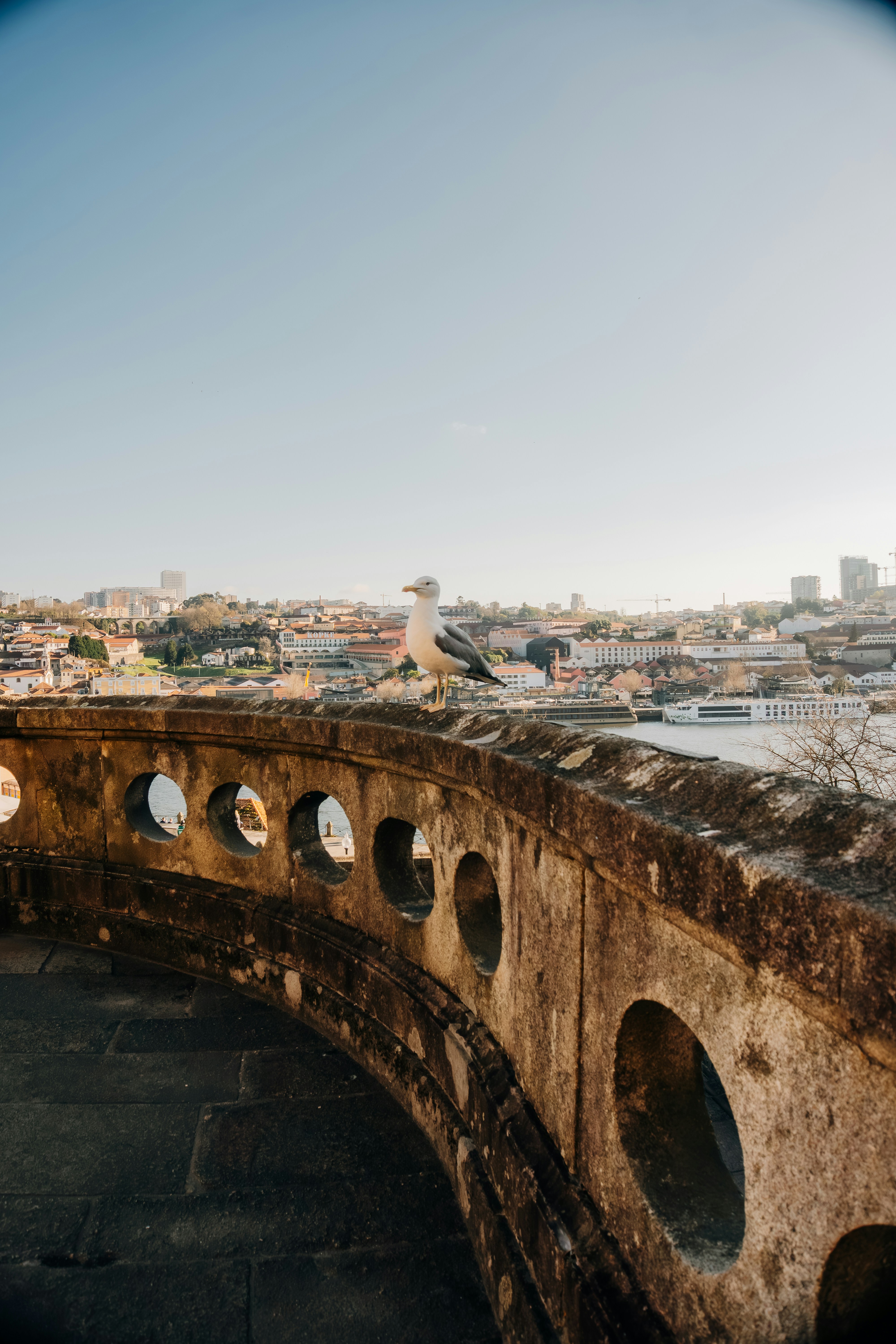 カモメは街を見下ろす石の手すりに止まっていた。
