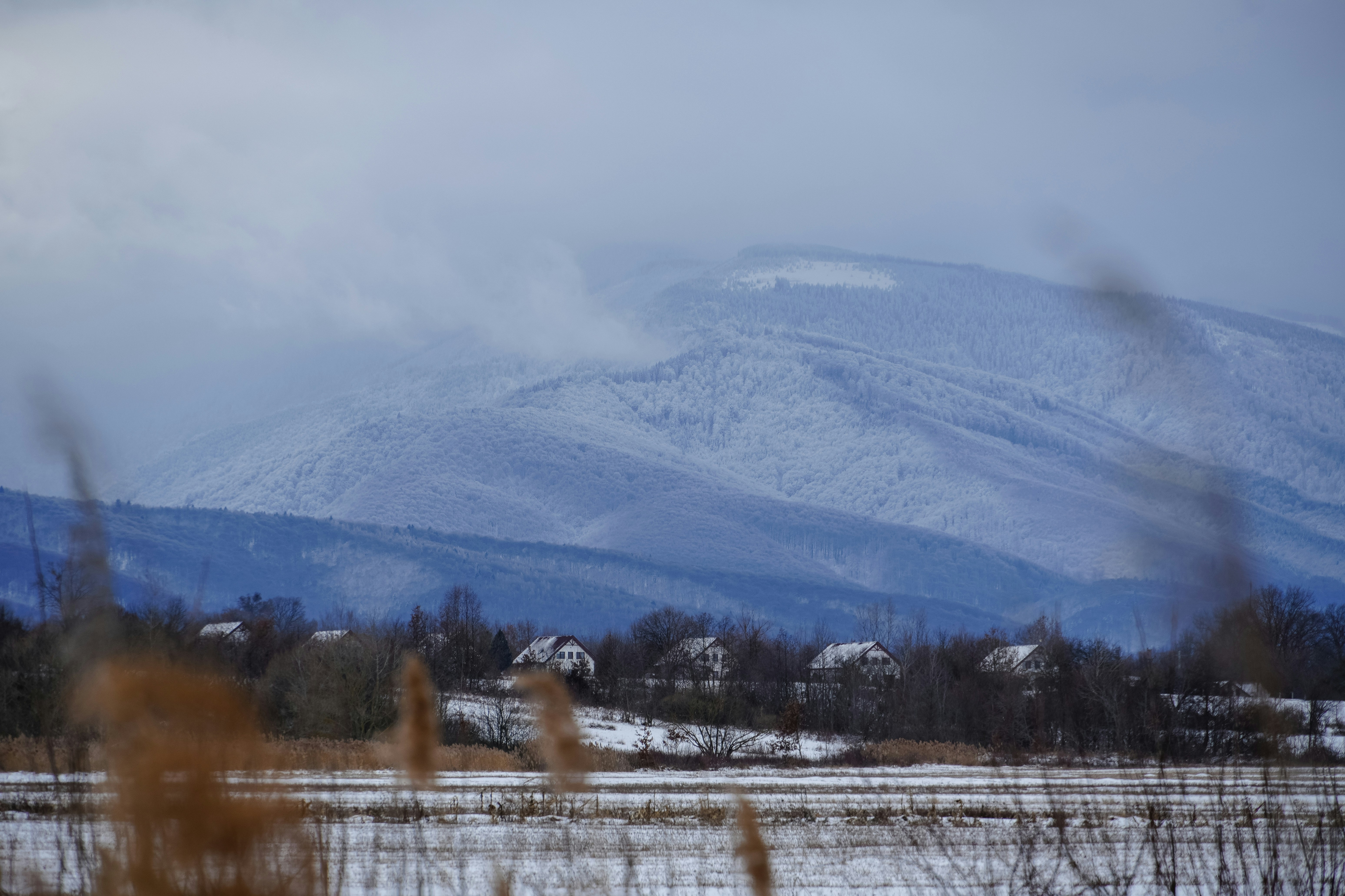 Photo by vladutremus