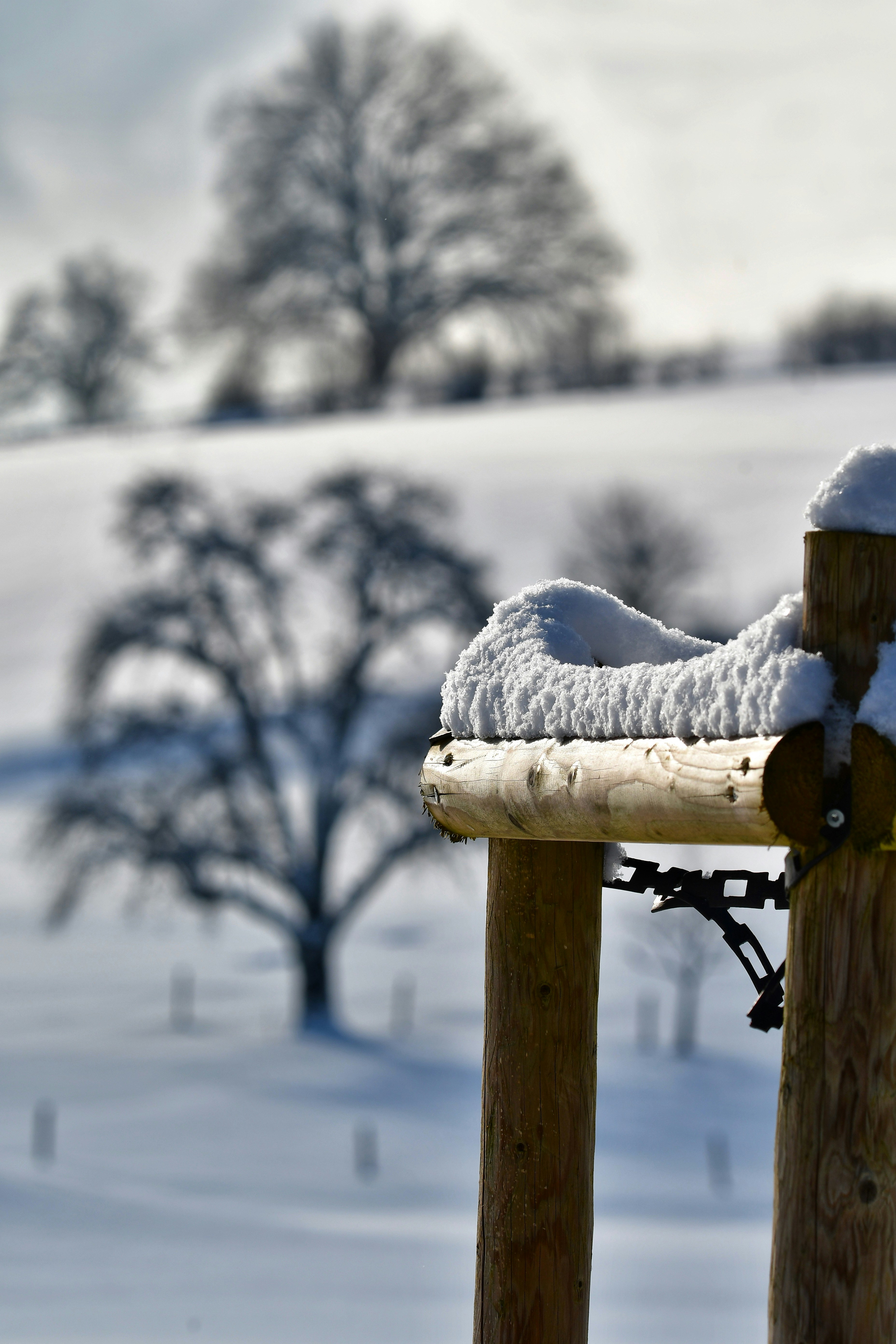 Photo by pedrino5_official