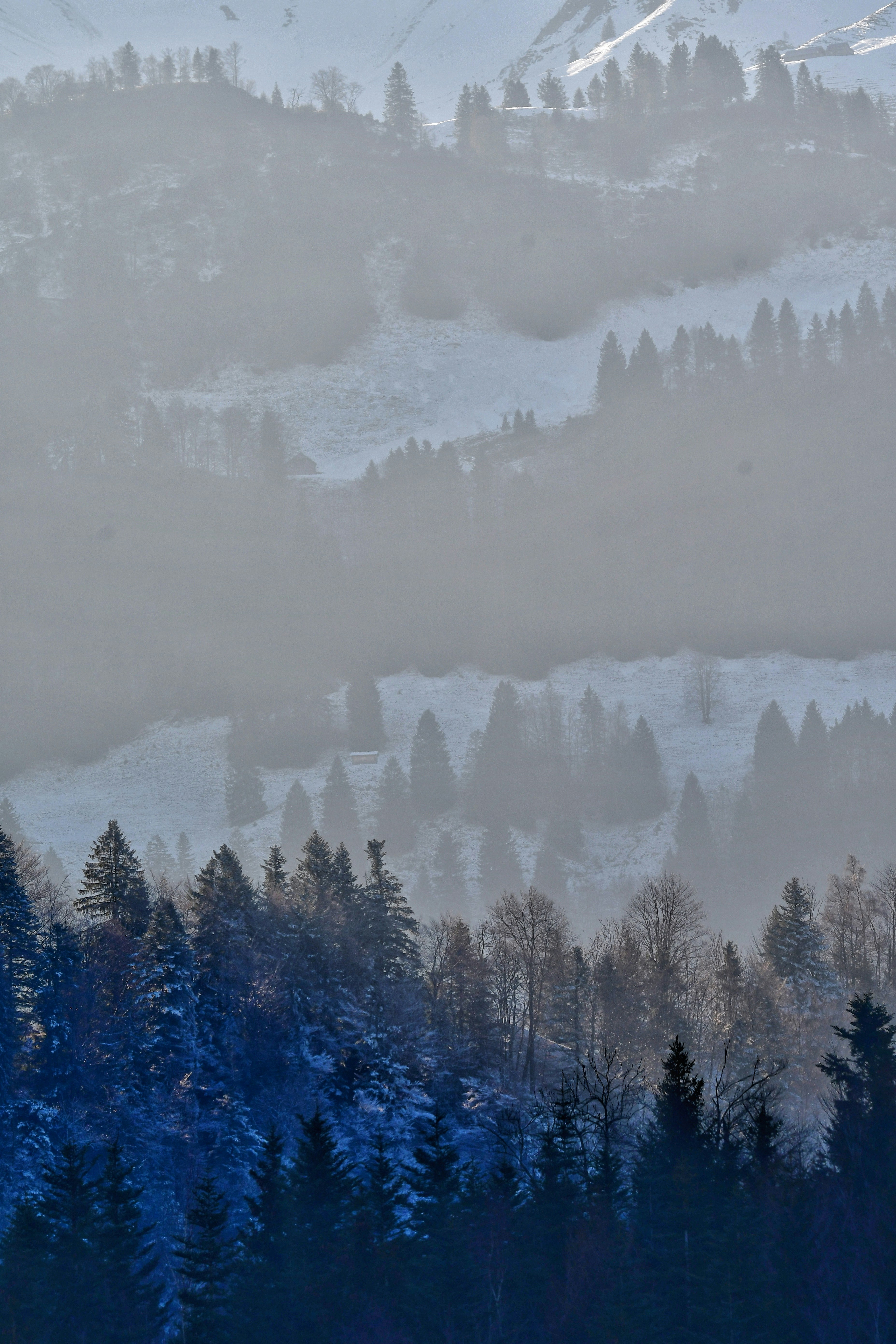 Photo by pedrino5_official