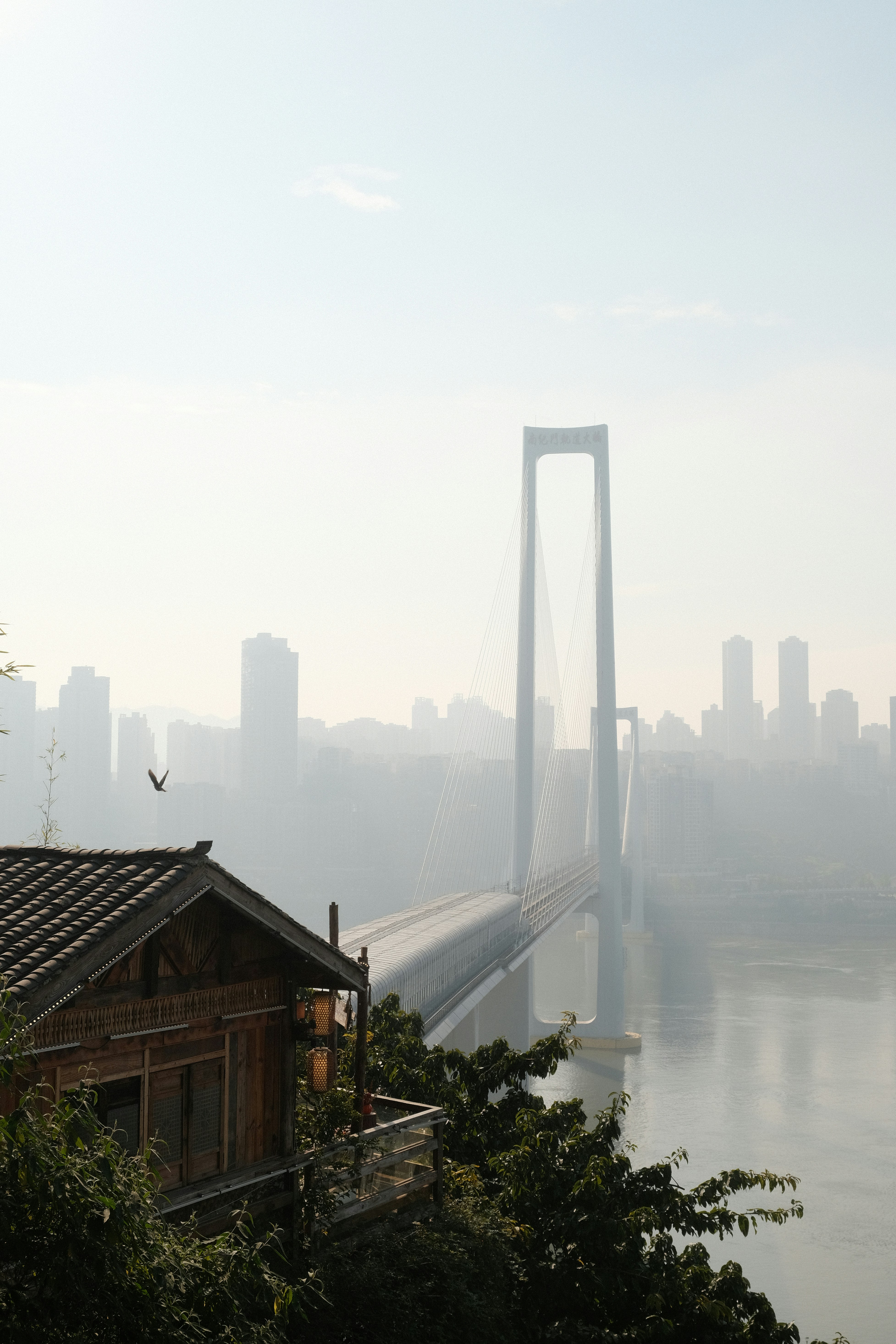 A suspension bridge looms through morning fog over a river.