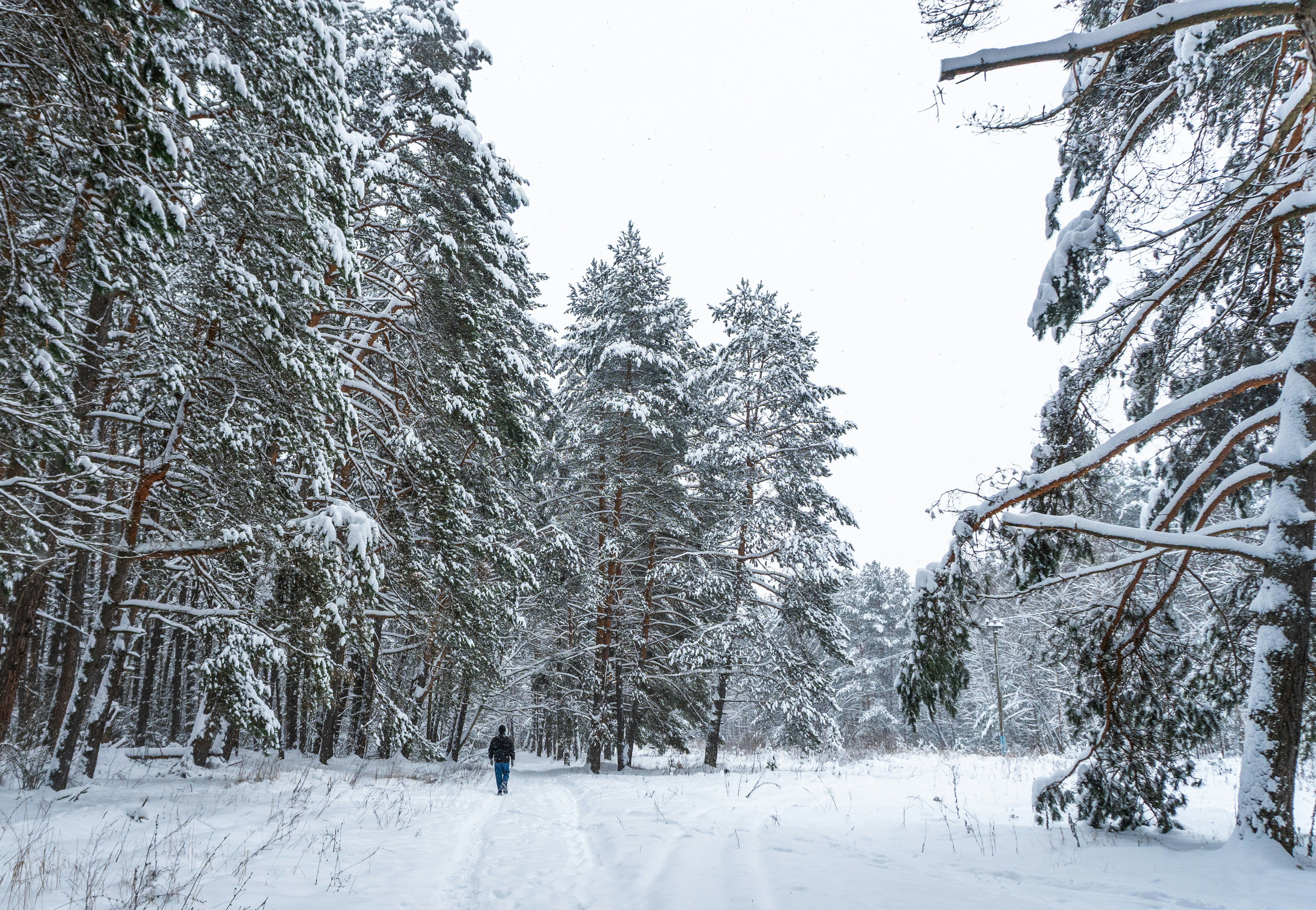 Photo by kulikovnik2