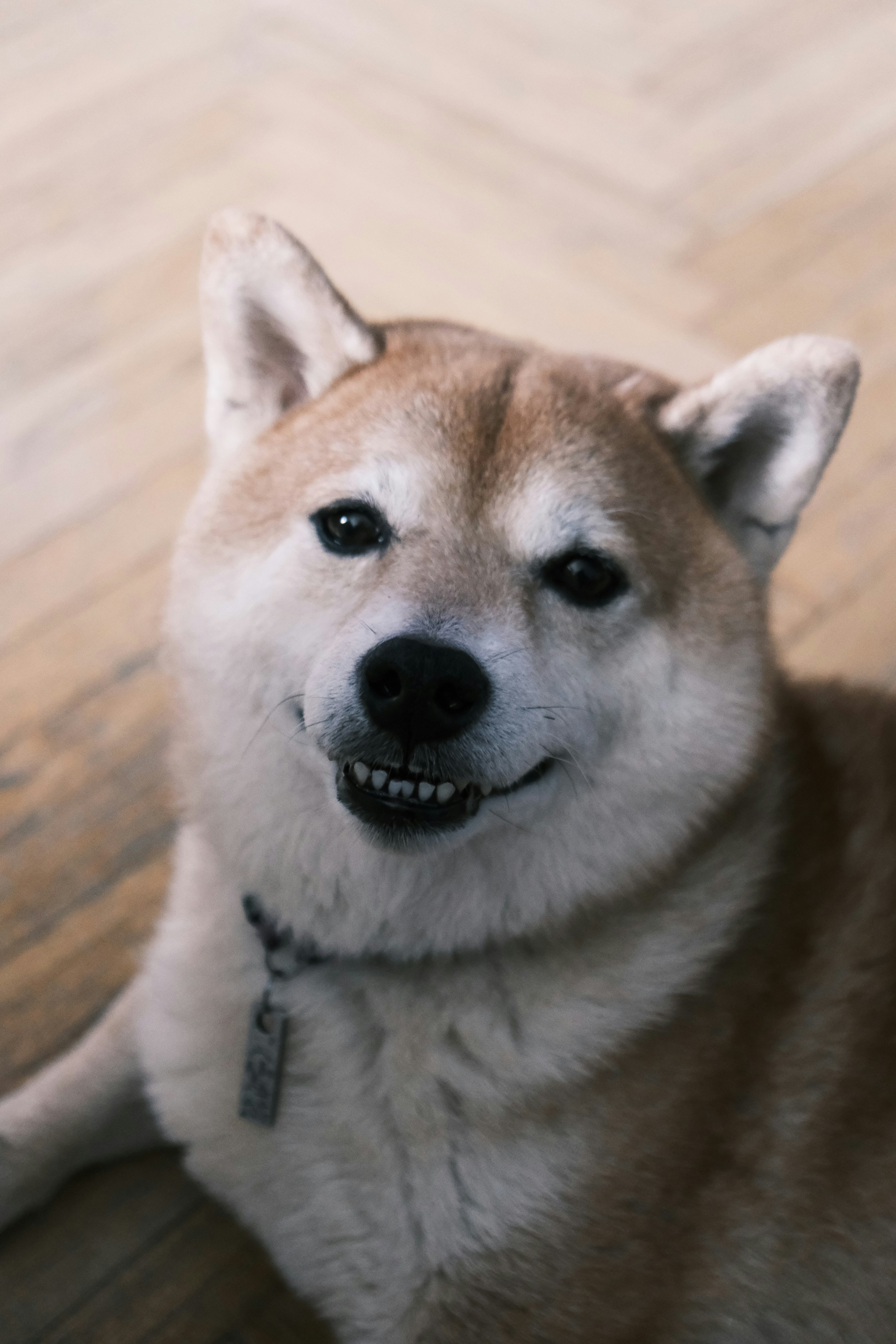 Photo by tutto_passa