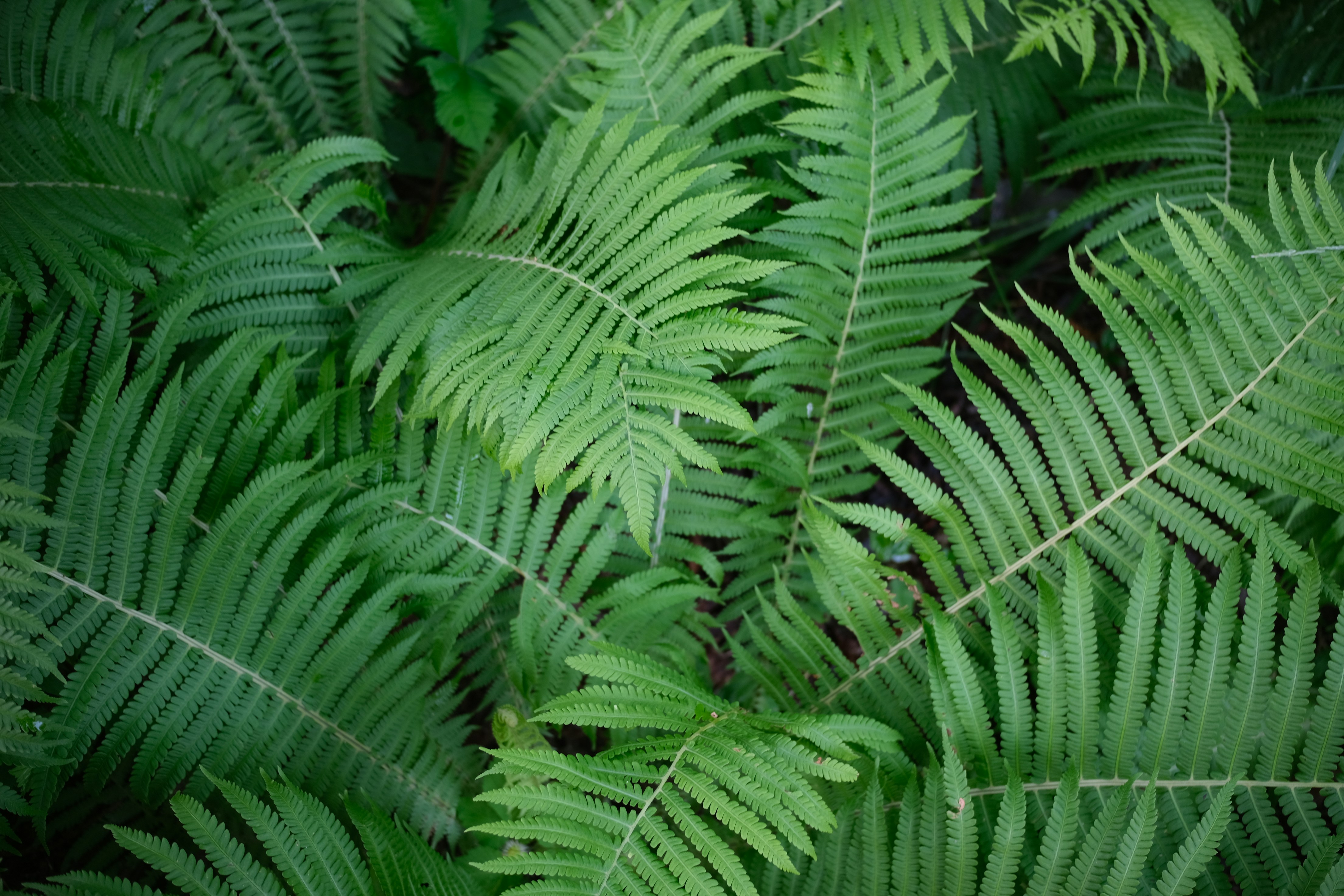 Photo by tutto_passa