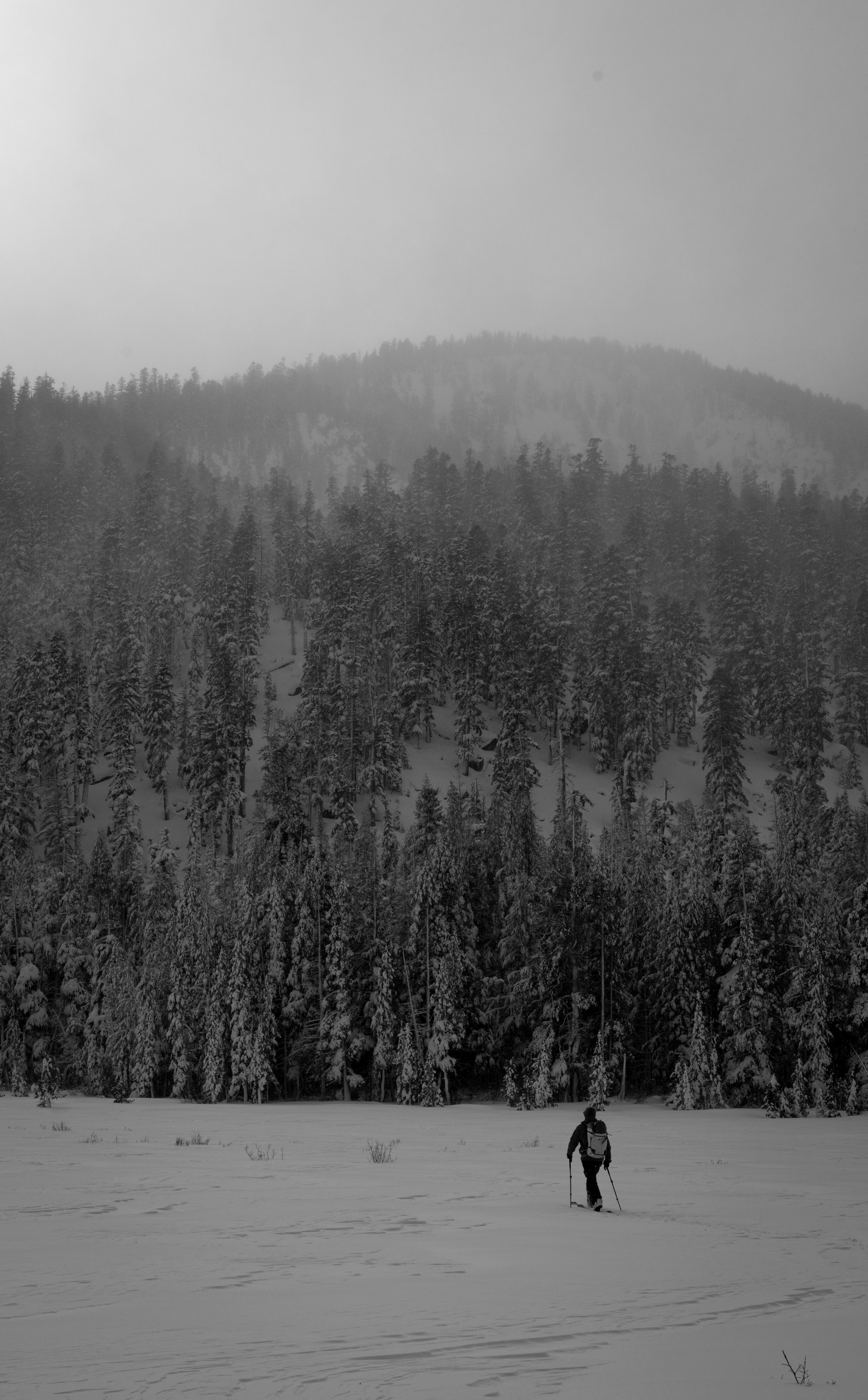 A lone skier traverses a snowy field towards a forest.