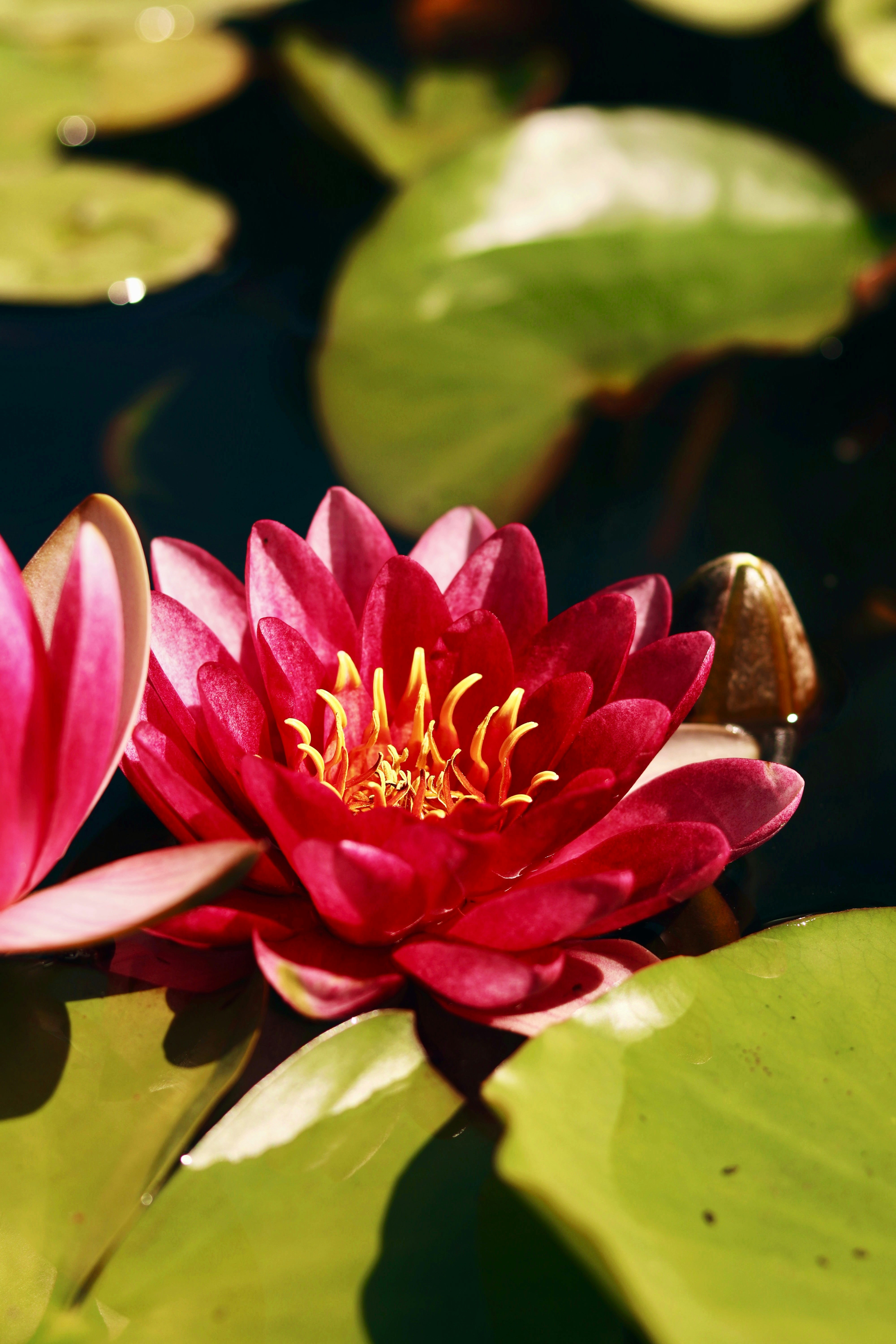 Photo by eduardkiiko