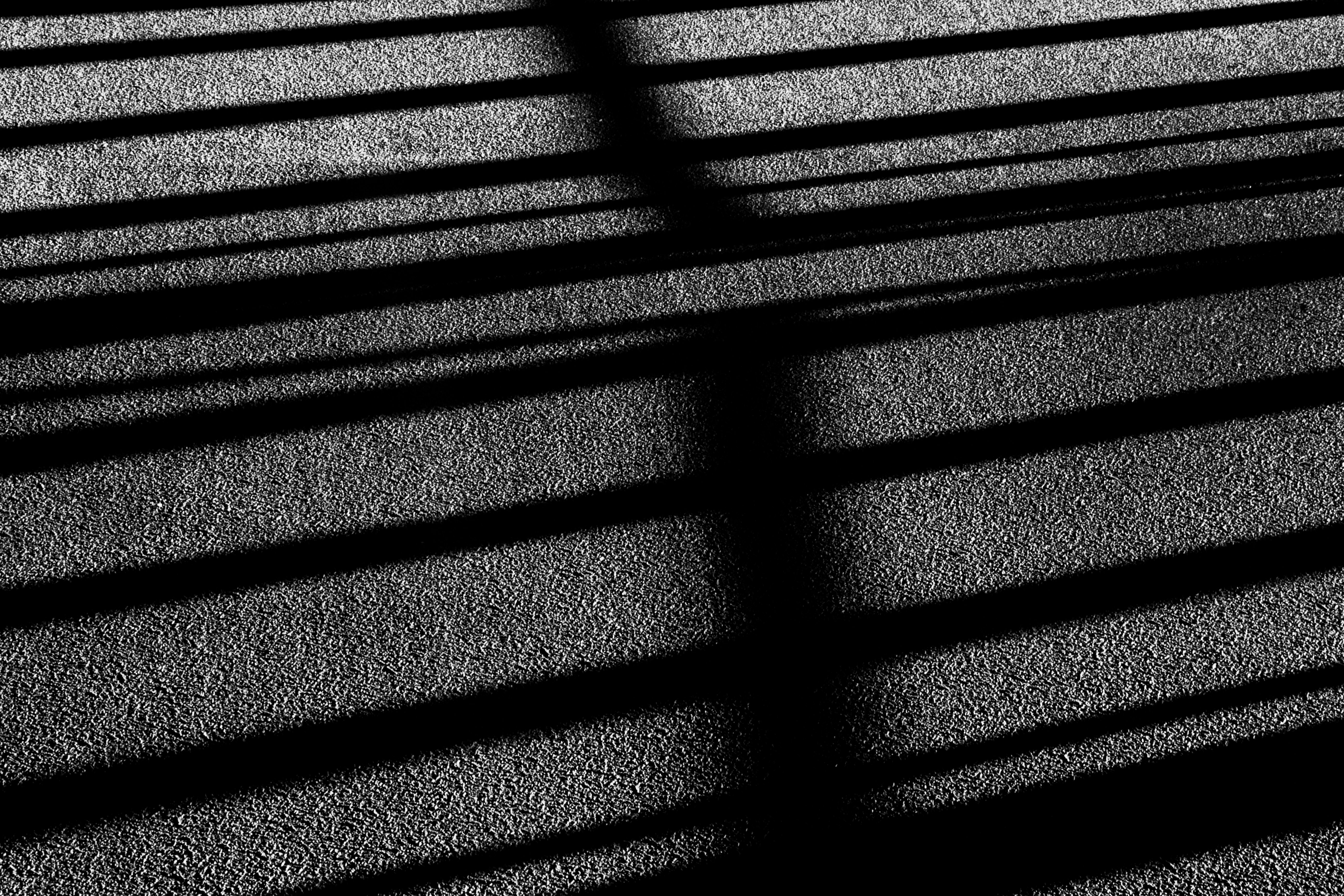 Photo by androidhammer