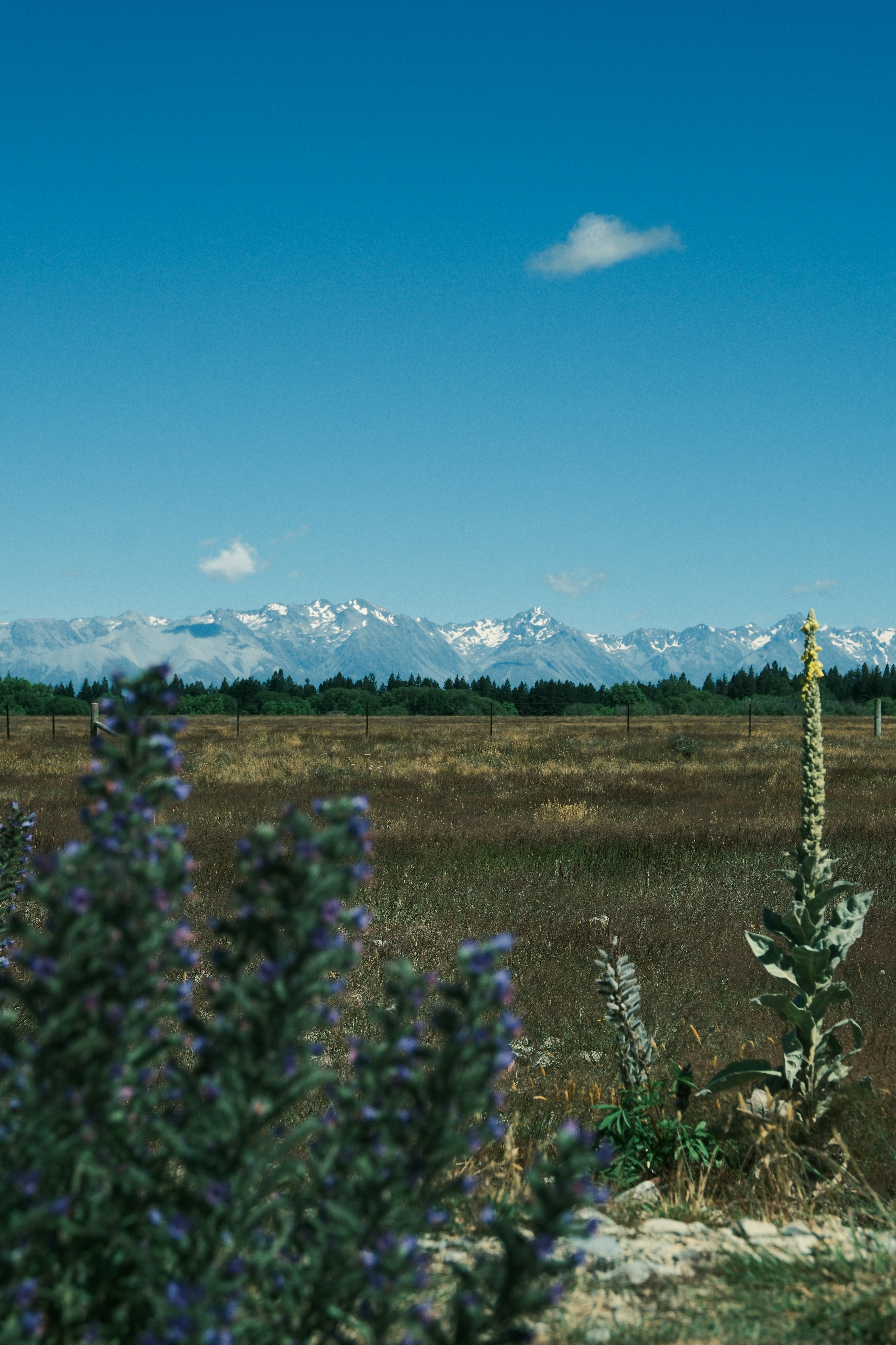 Snow-capped mountains under a vast blue sky.