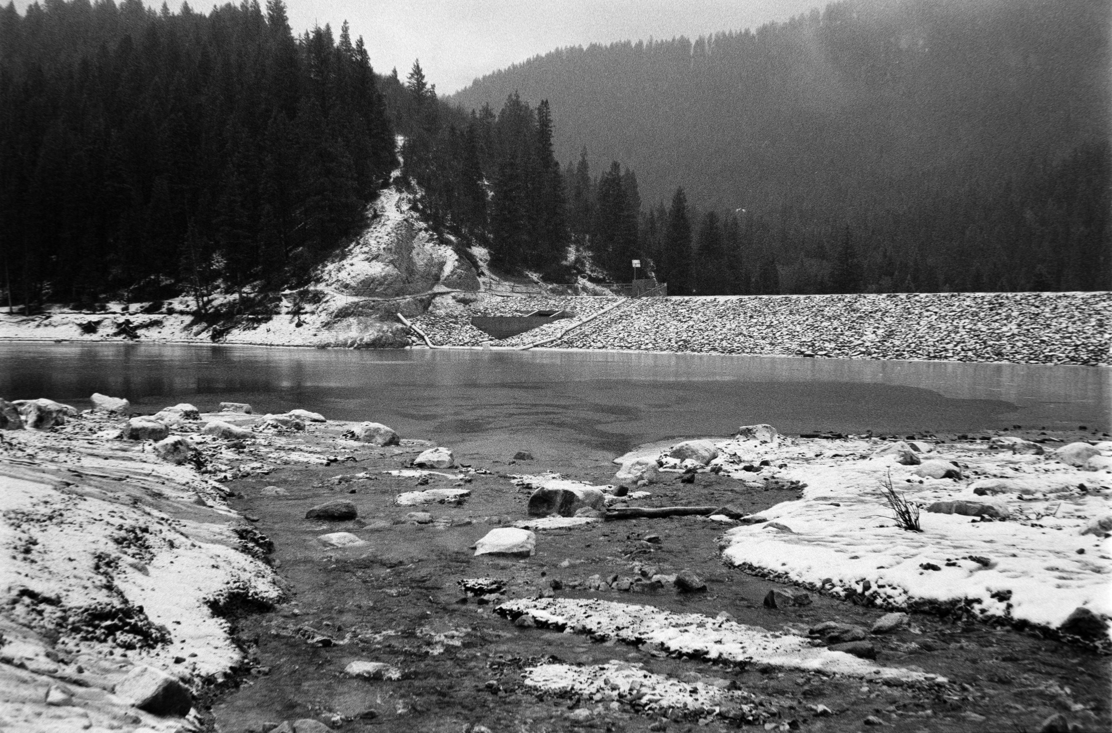 Photo by theguccer2100