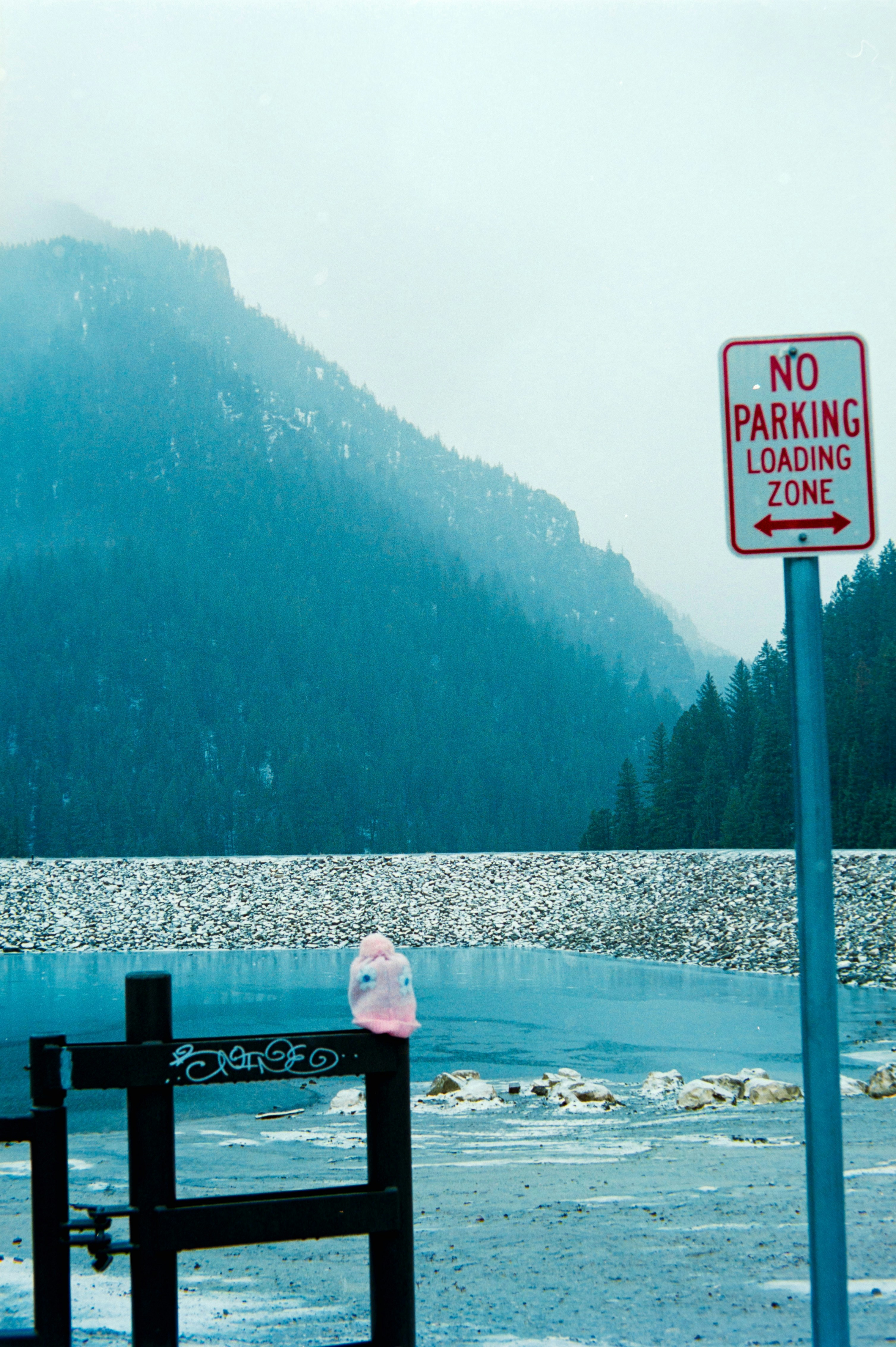 No parking loading zone sign by a lake
