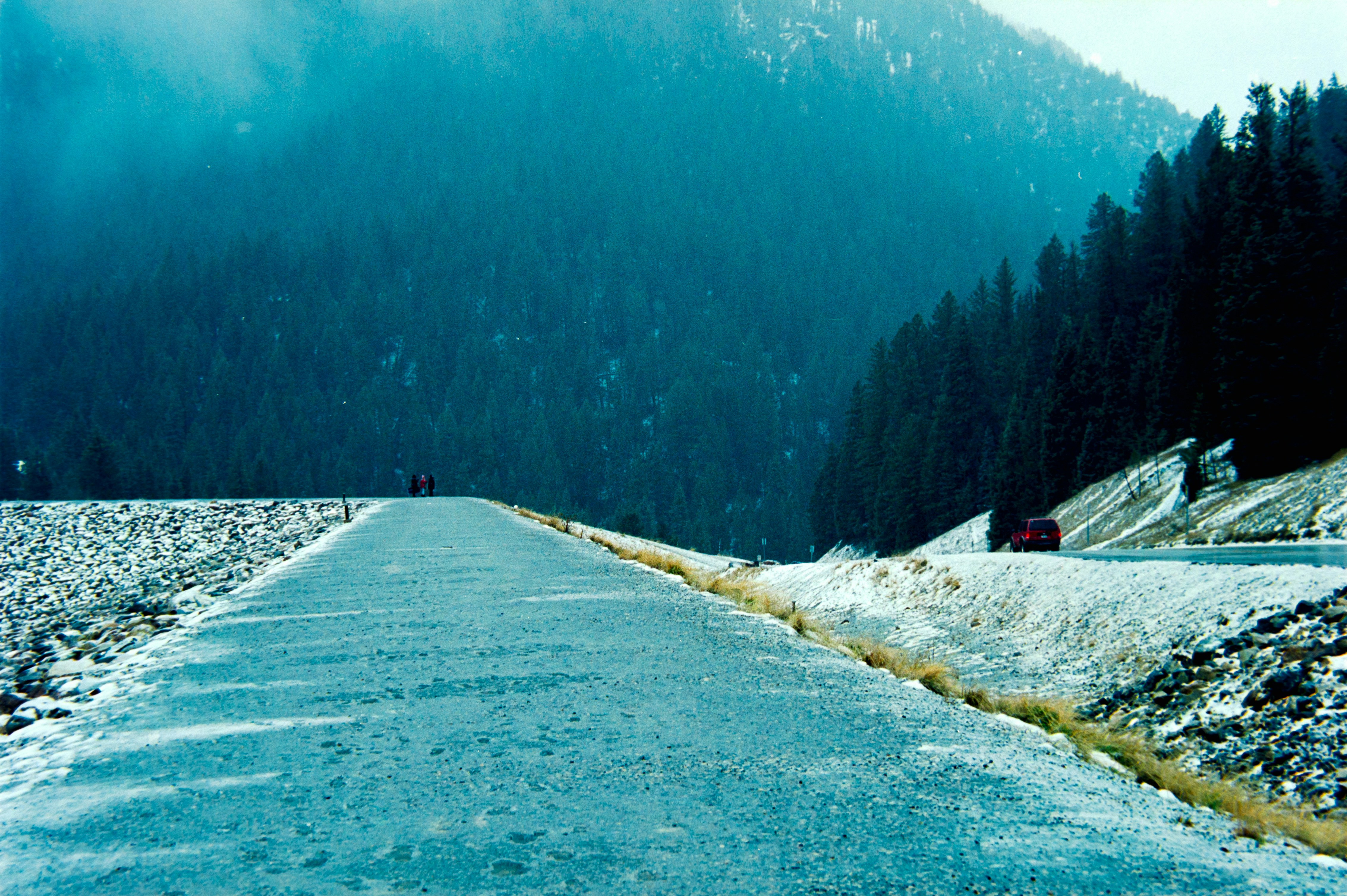 A road leading through a snowy forest with mountains.