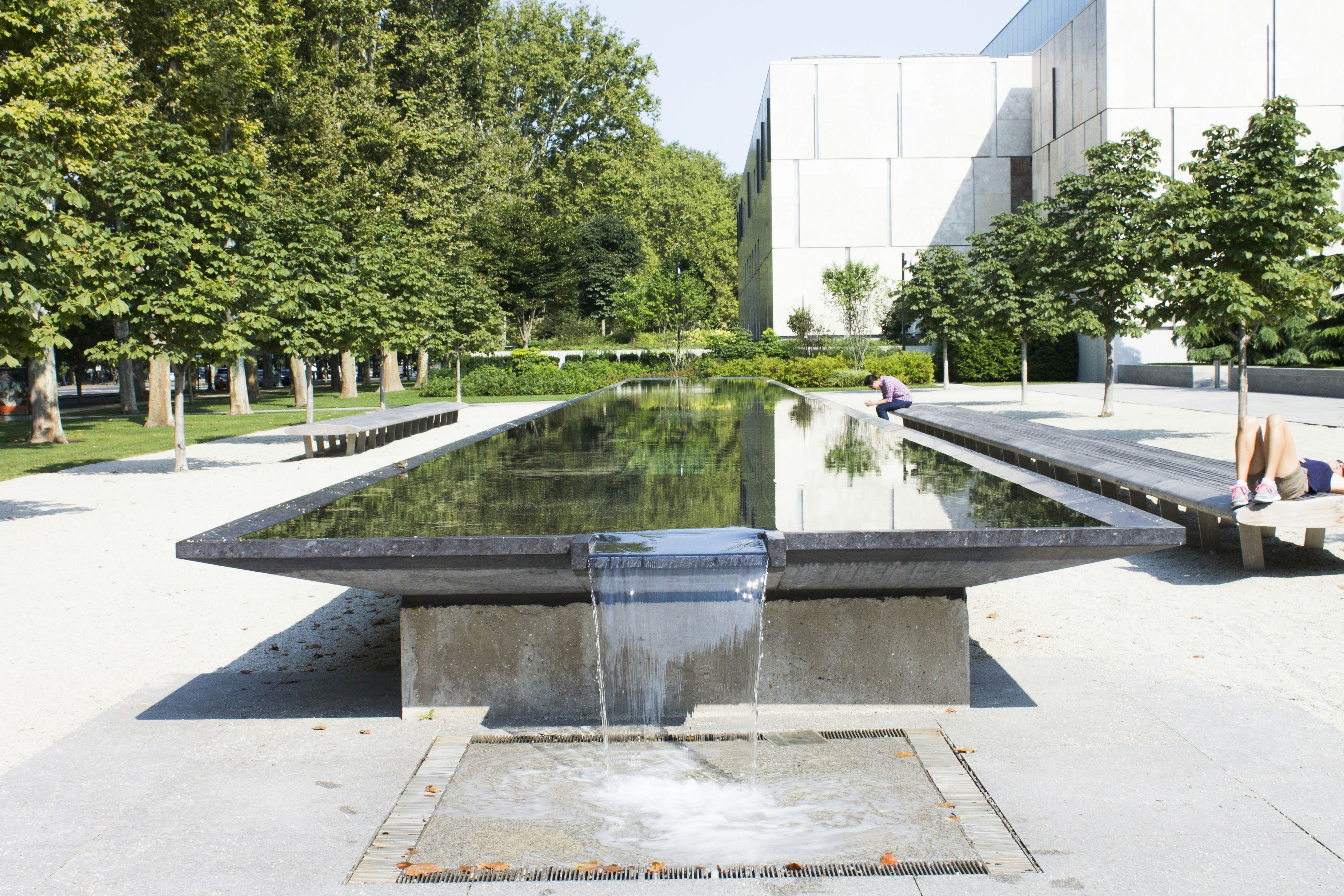 A modern reflecting pool with benches and trees