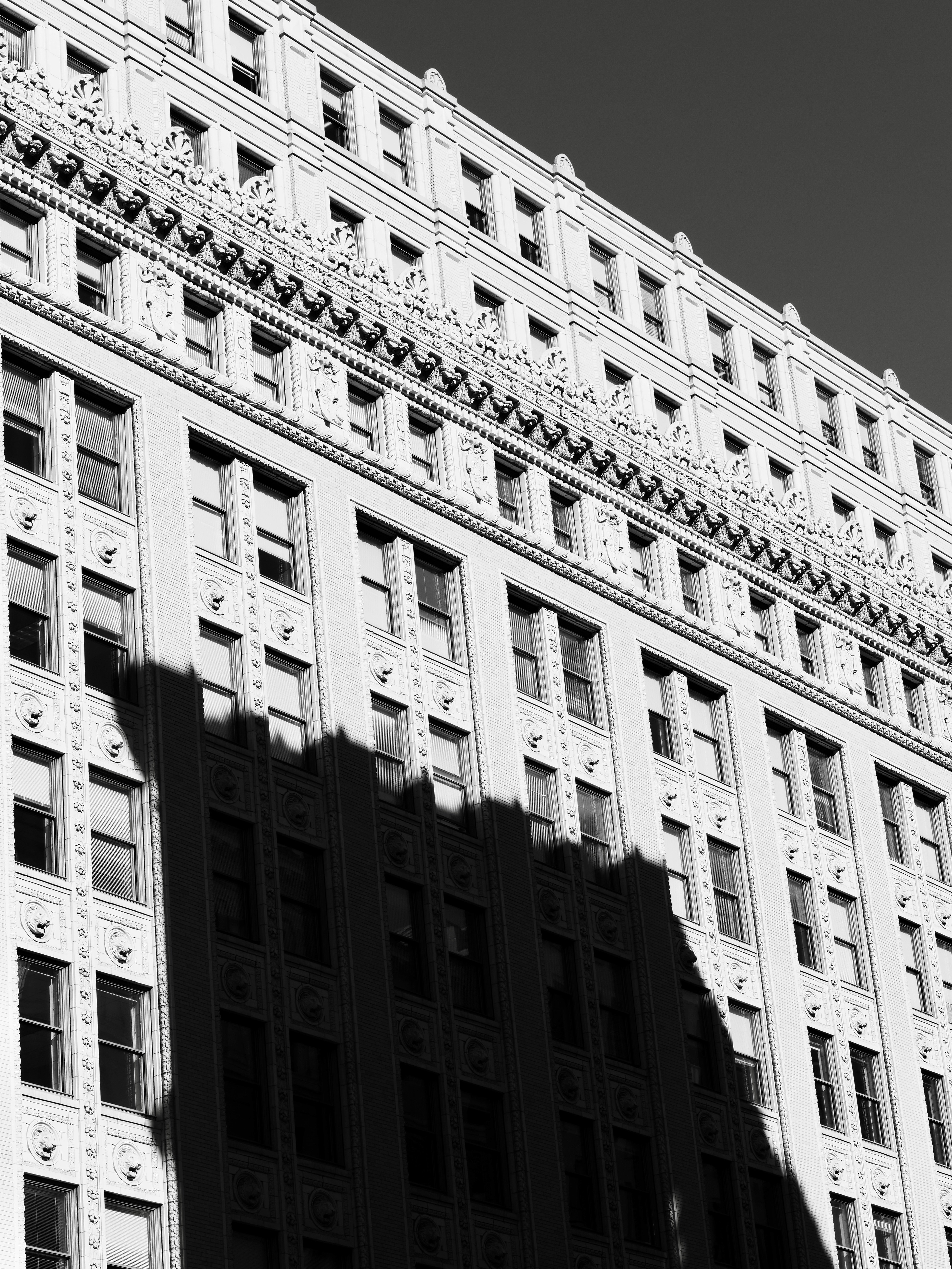 Photo by sschusterphotoart