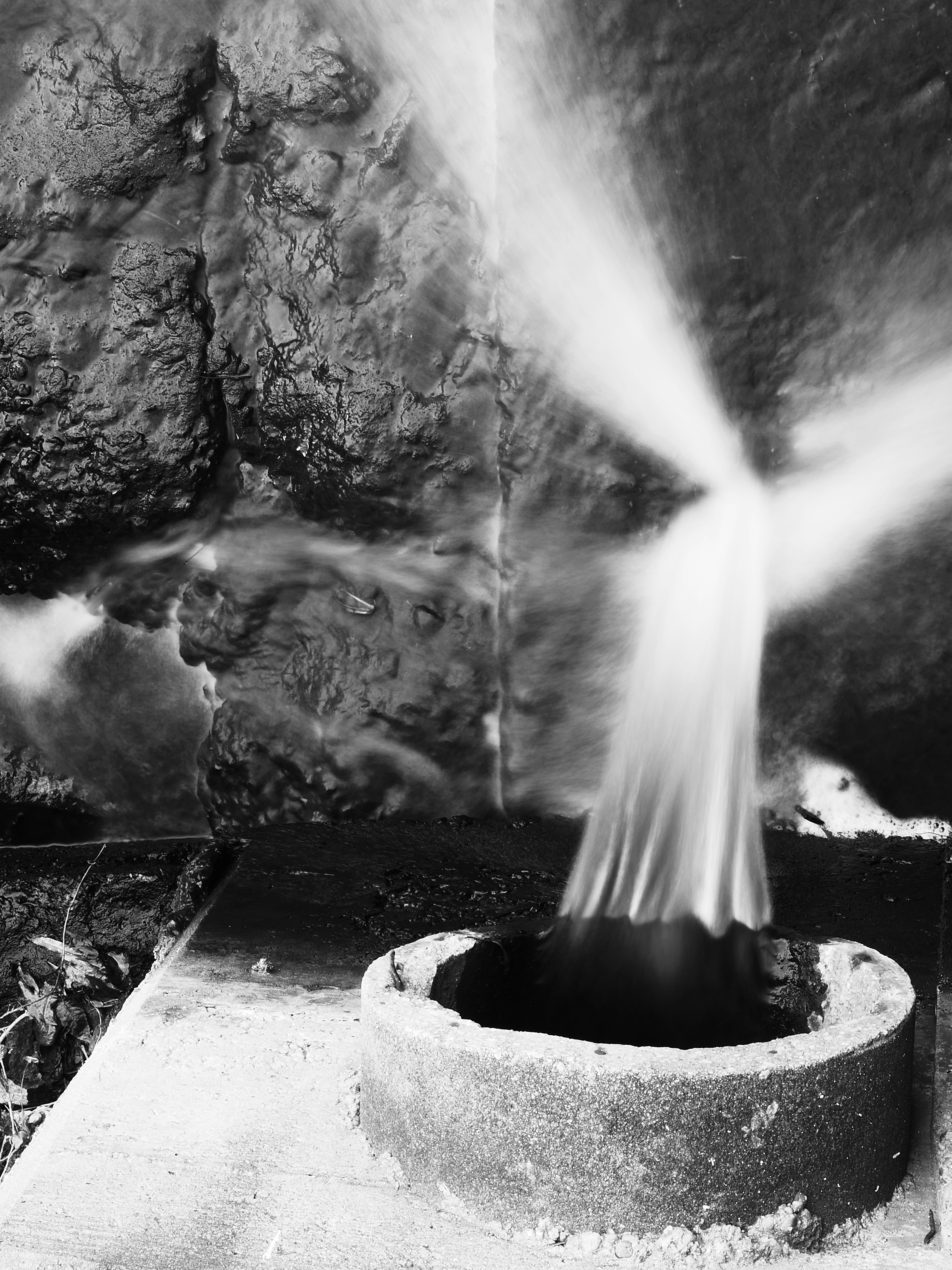 Photo by sschusterphotoart