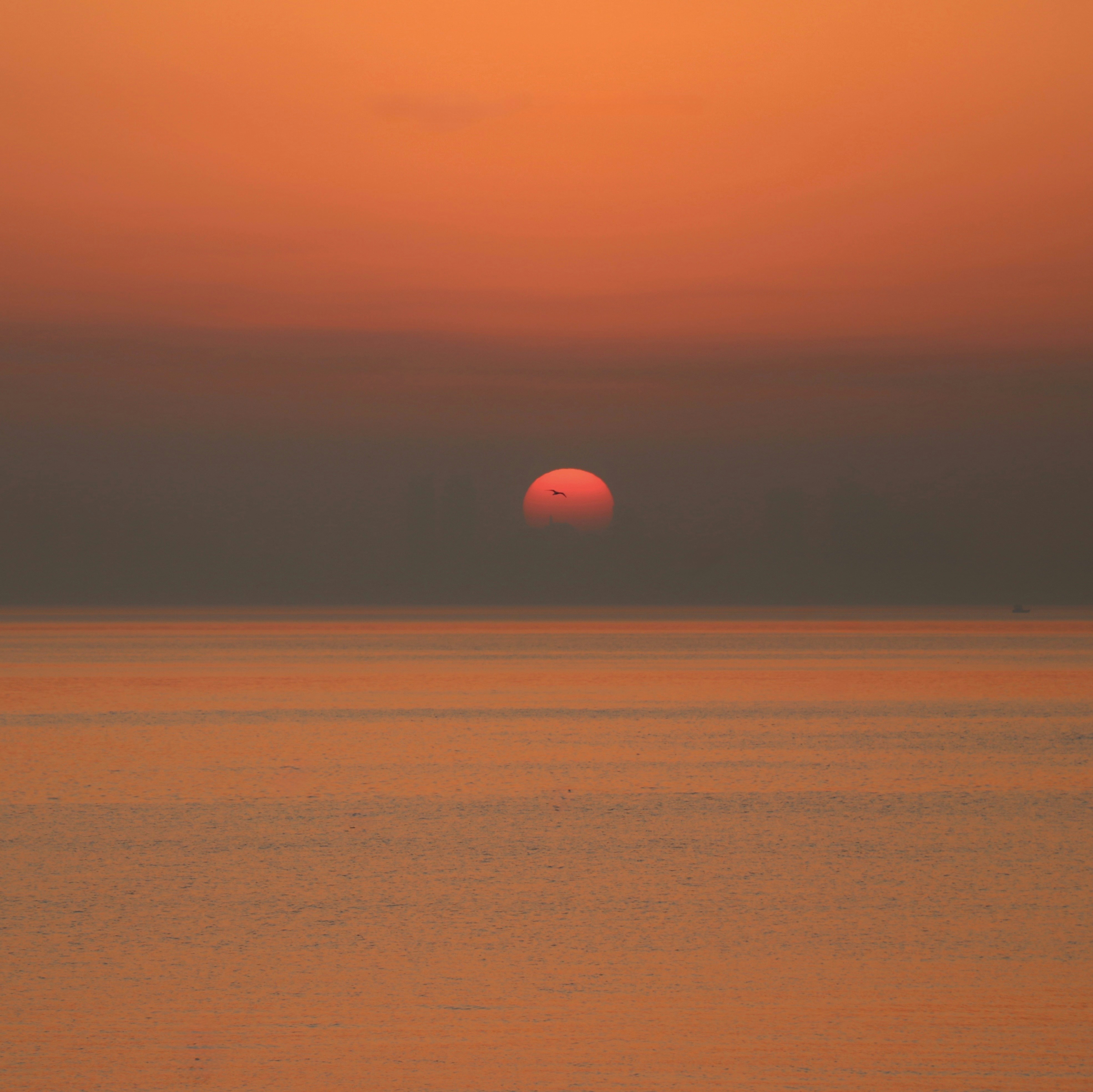 Photo by the_n_stagram