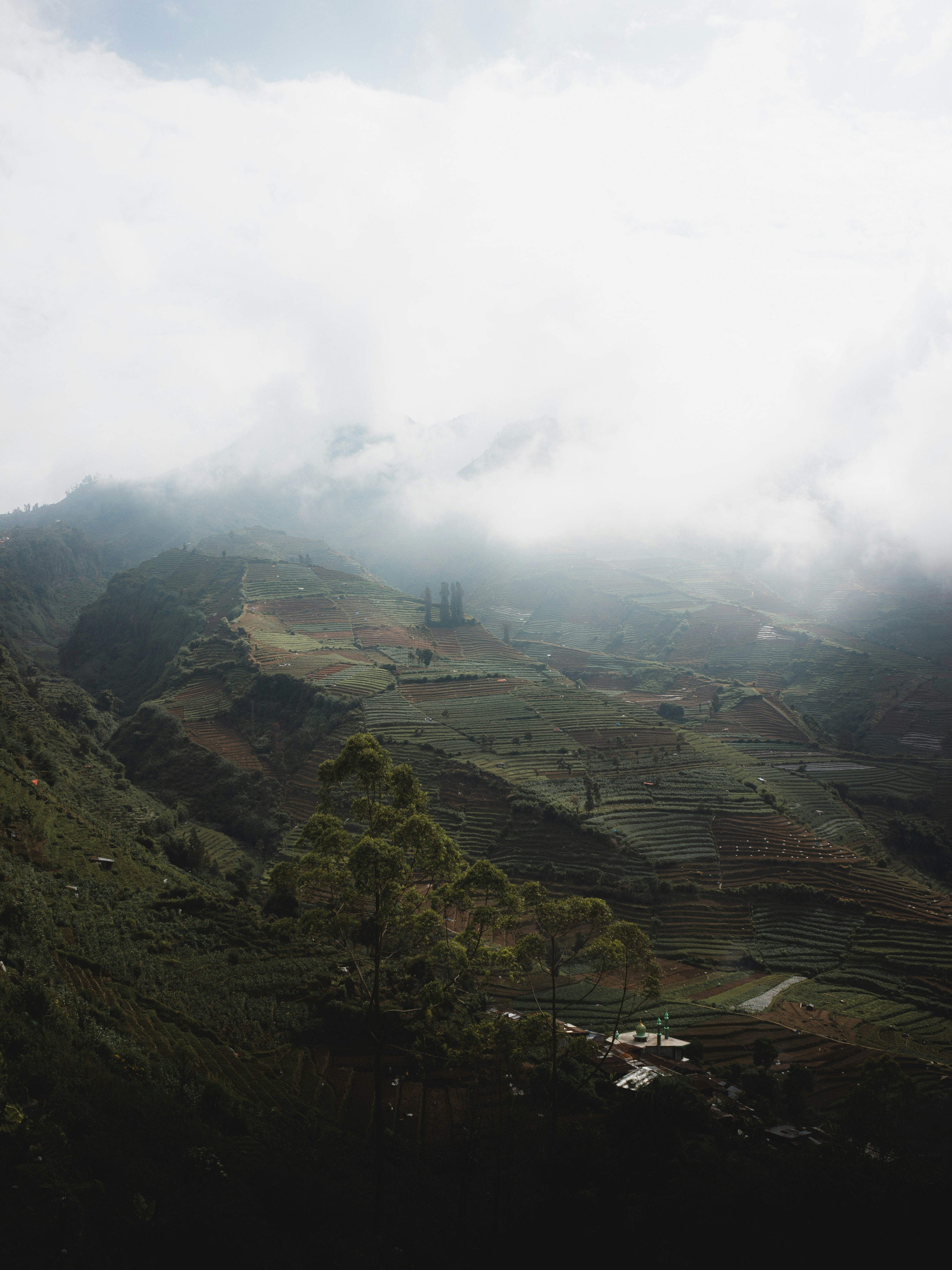 Photo by zulfikarrino