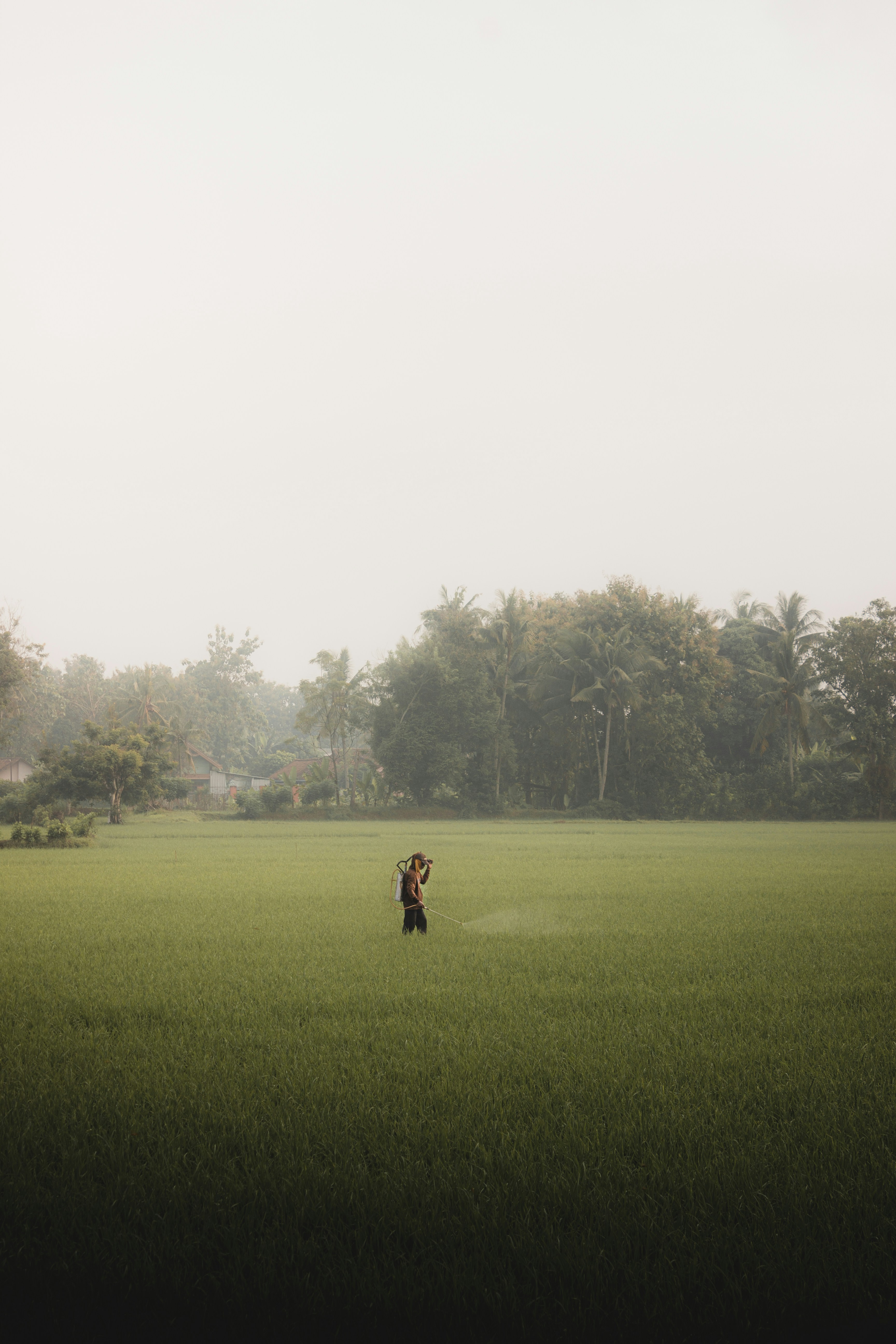 Photo by zulfikarrino