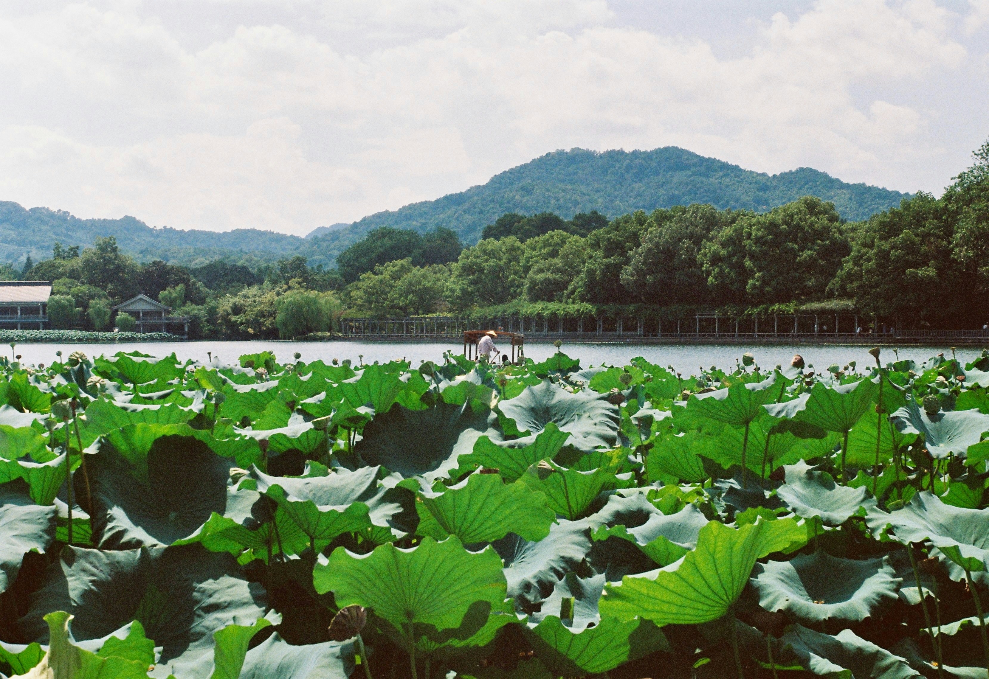 Photo by lwllwwlllwww