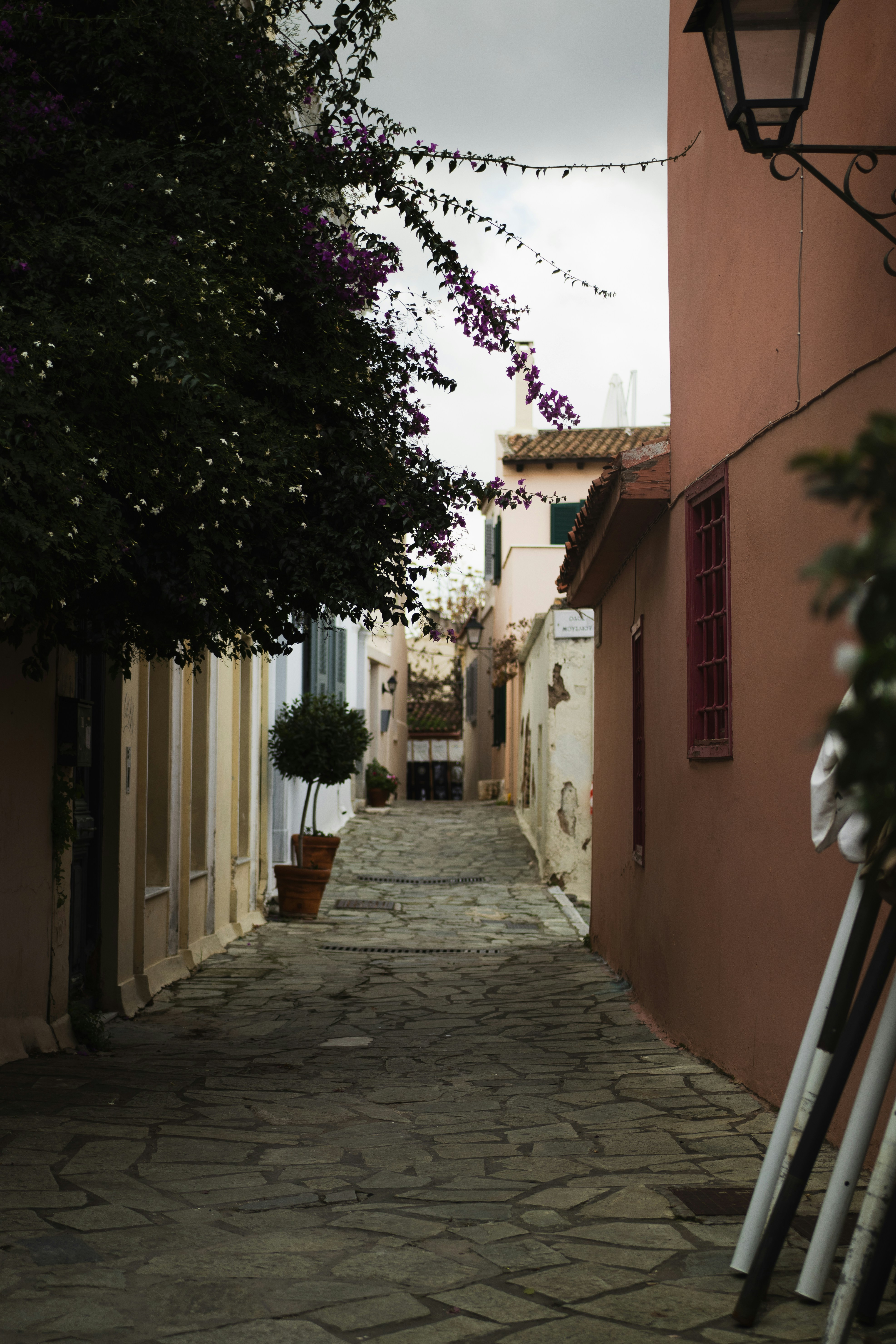 Cobblestone alleyway with buildings and trees