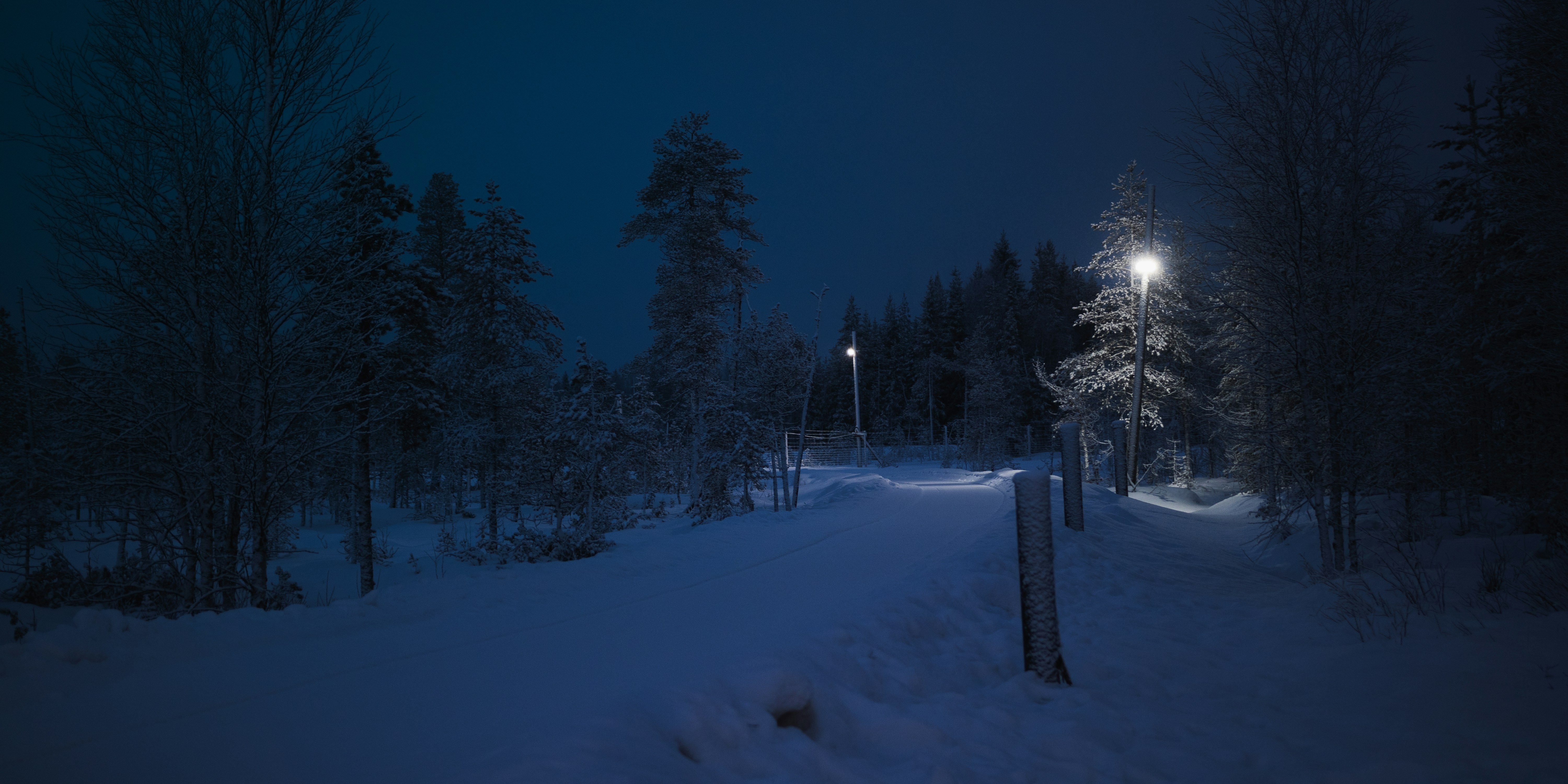 Snowy forest path illuminated by streetlights at night