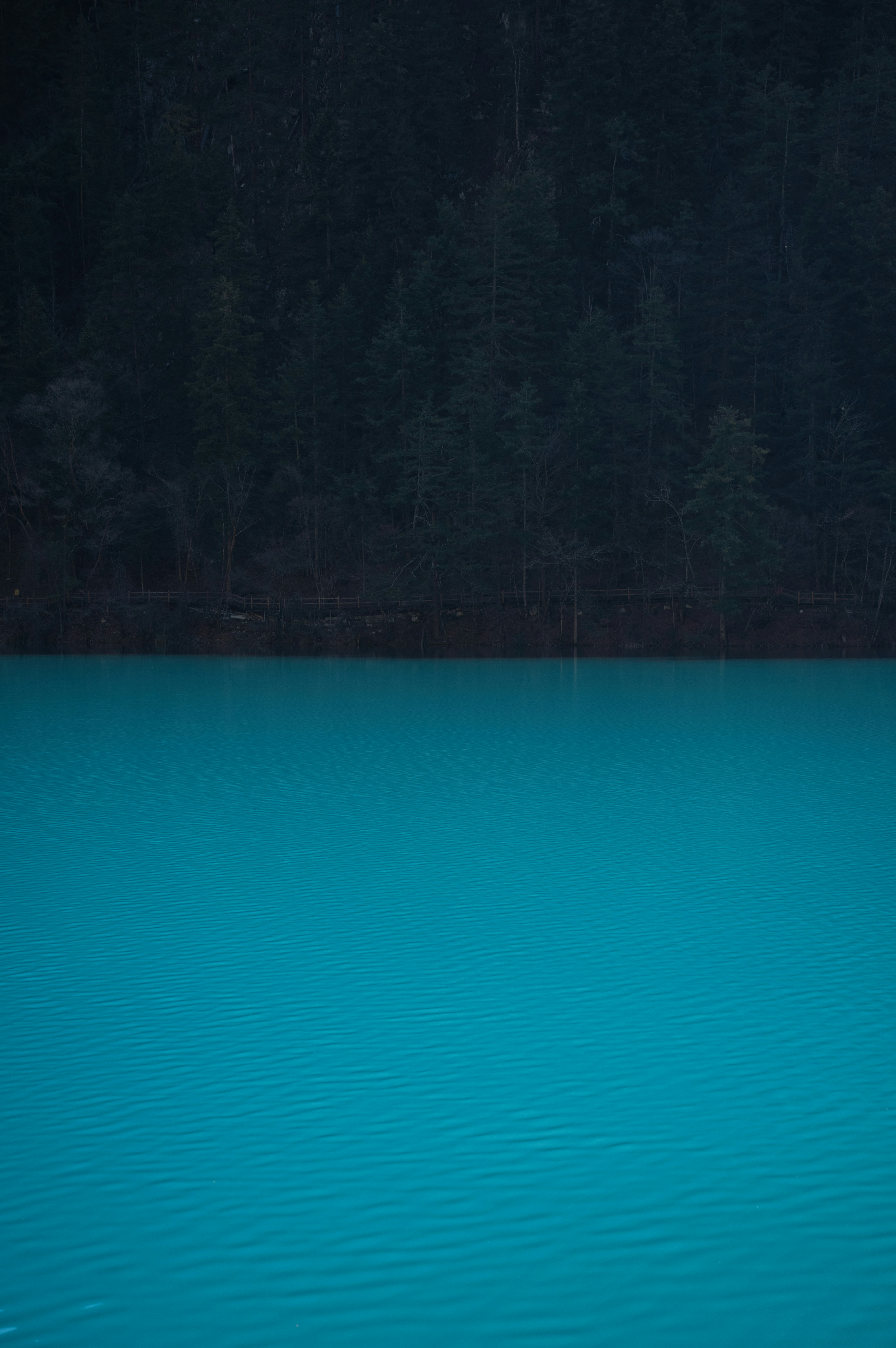 Bright blue water against dark forest background