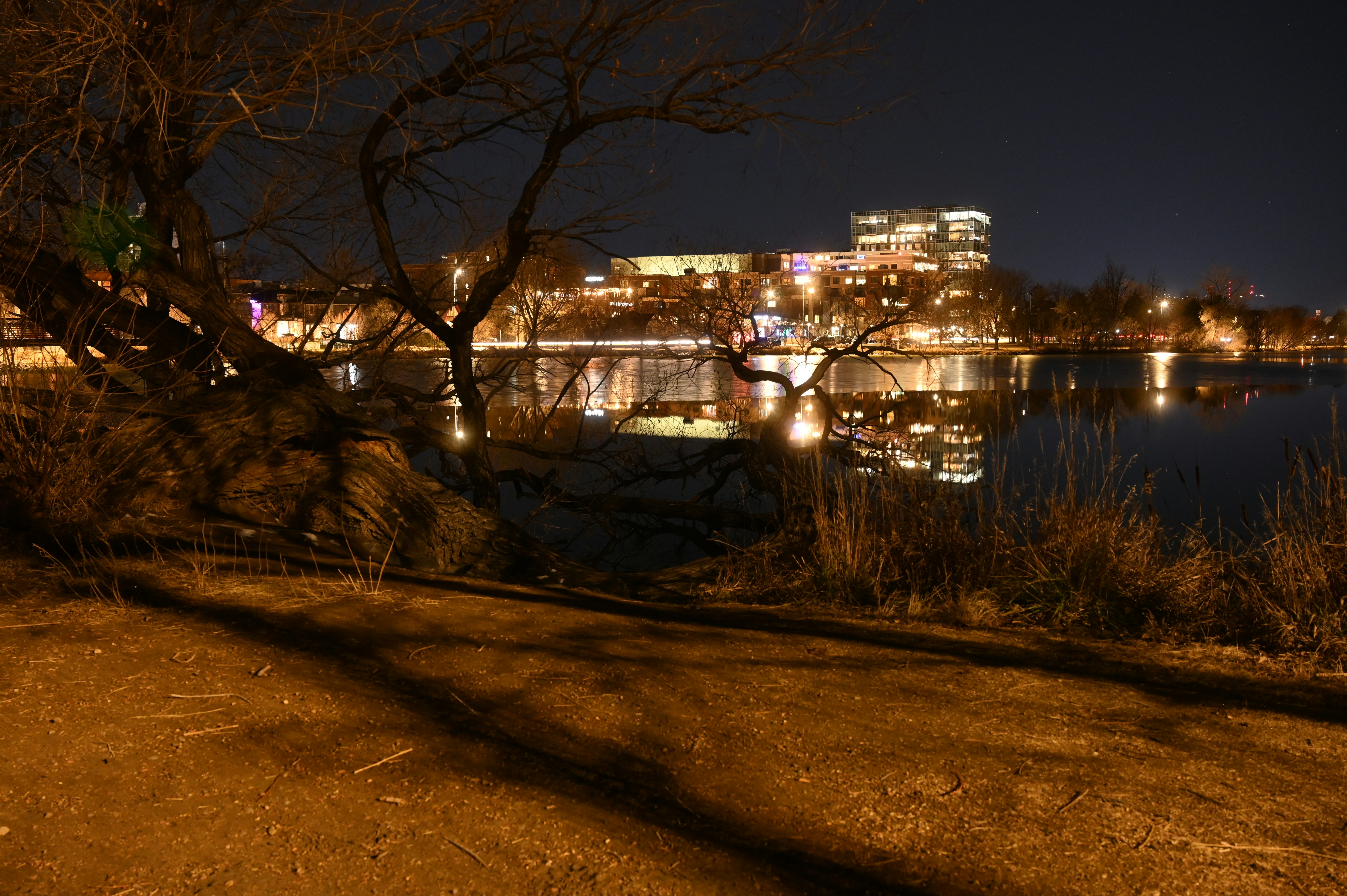 City lights reflect on a calm lake at night