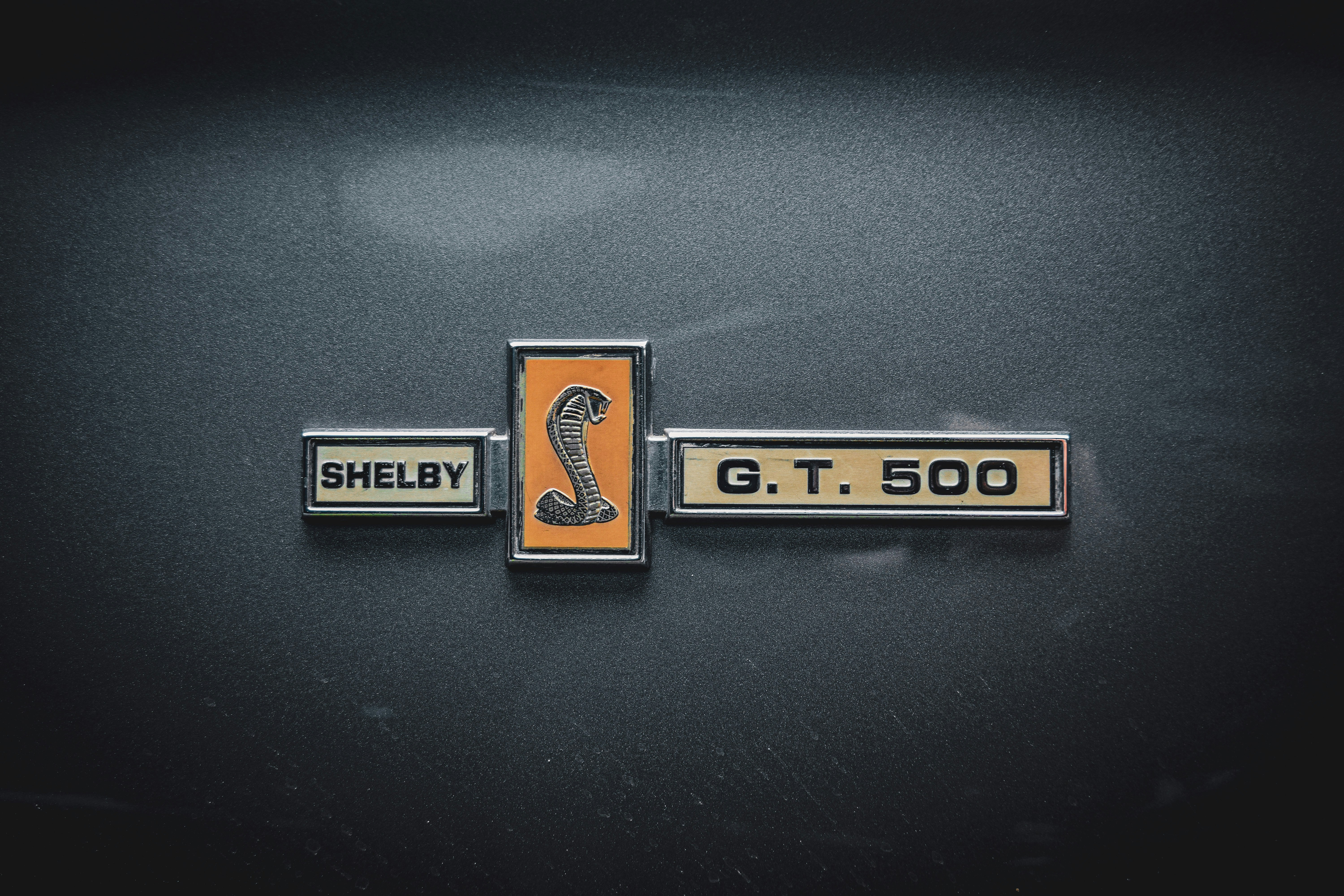 Discover the Thrill: Own Your Dream Ford Shelby GT500 Today