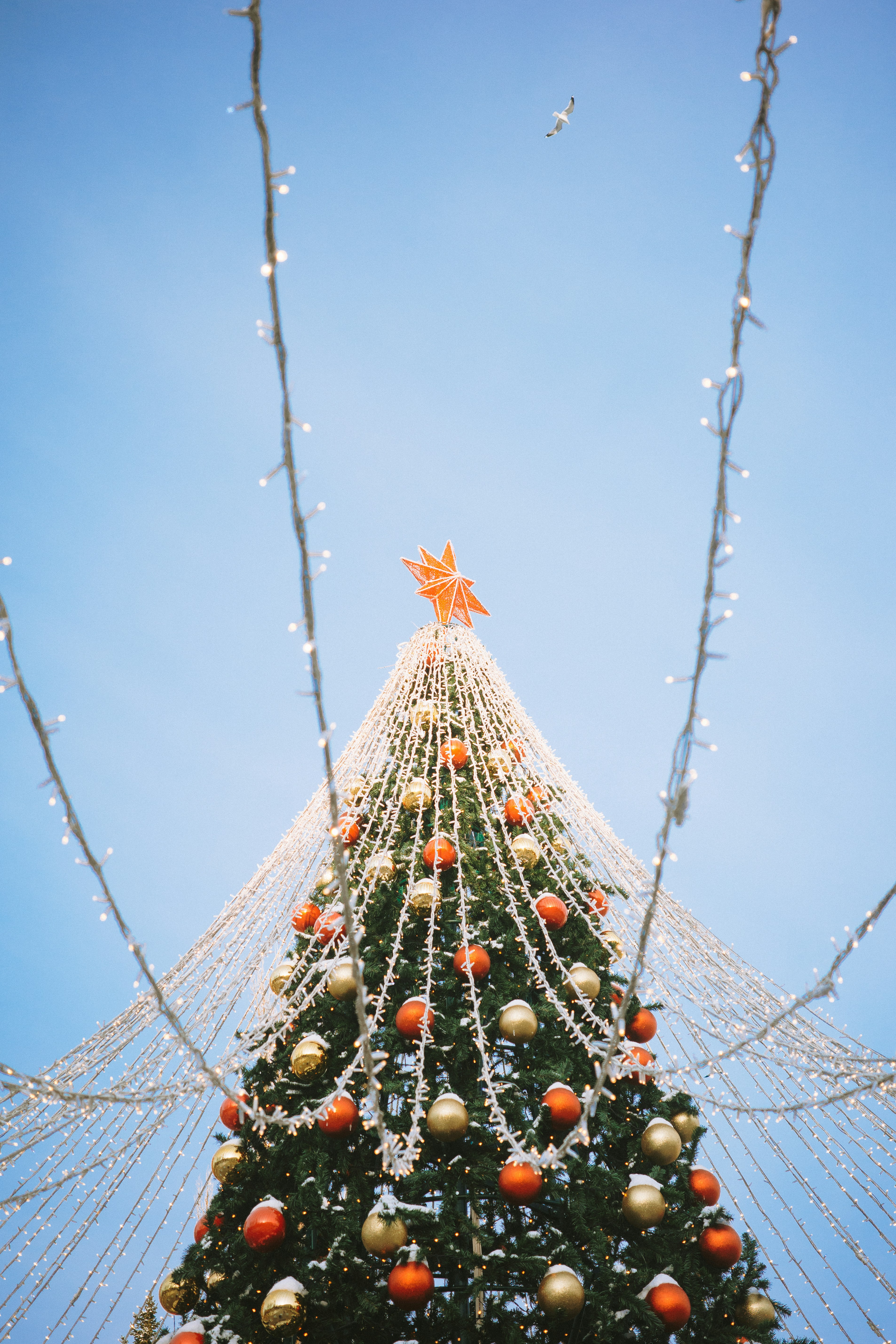 Decorated christmas tree with lights and ornaments