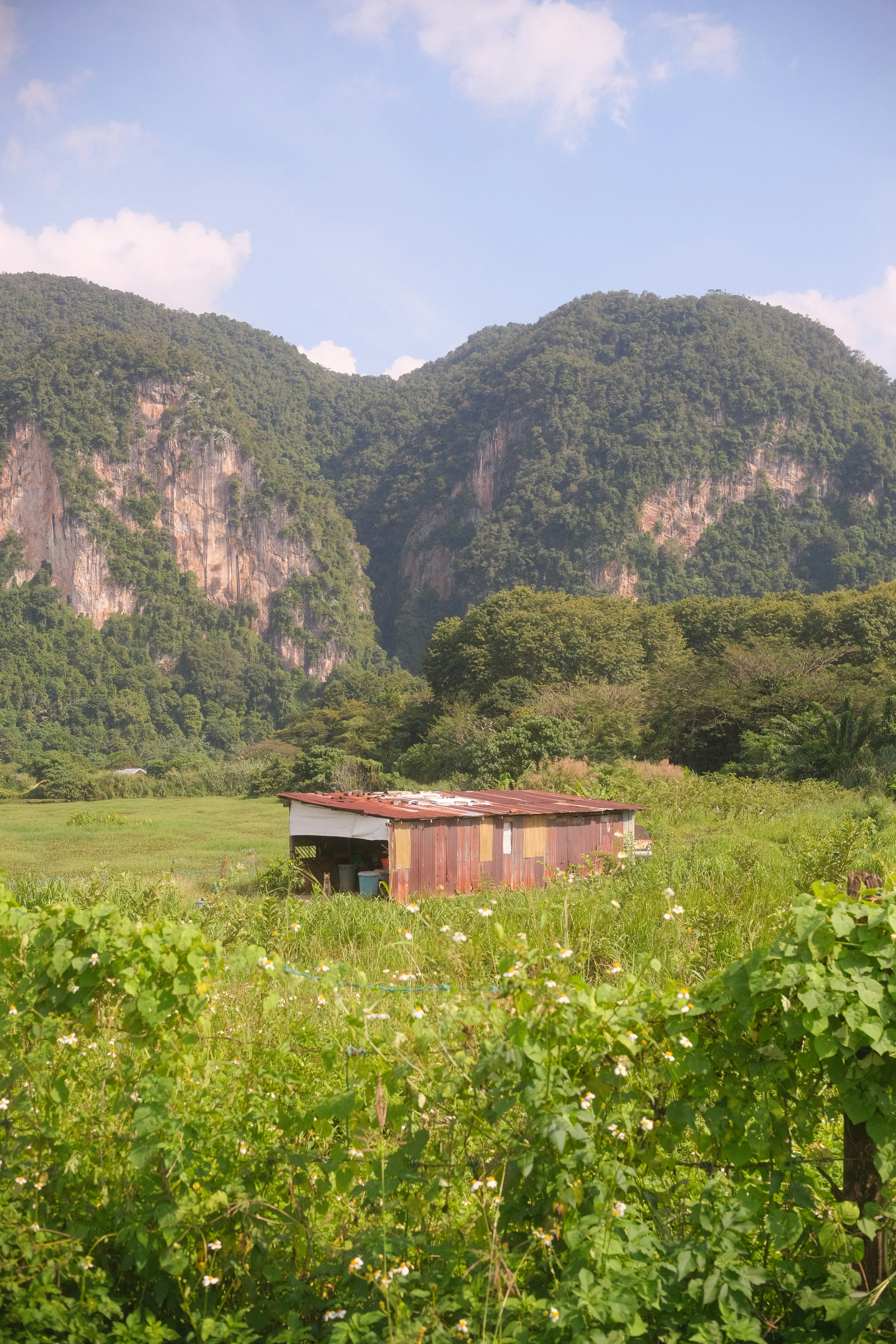 Rustic building in a lush green field with mountains.