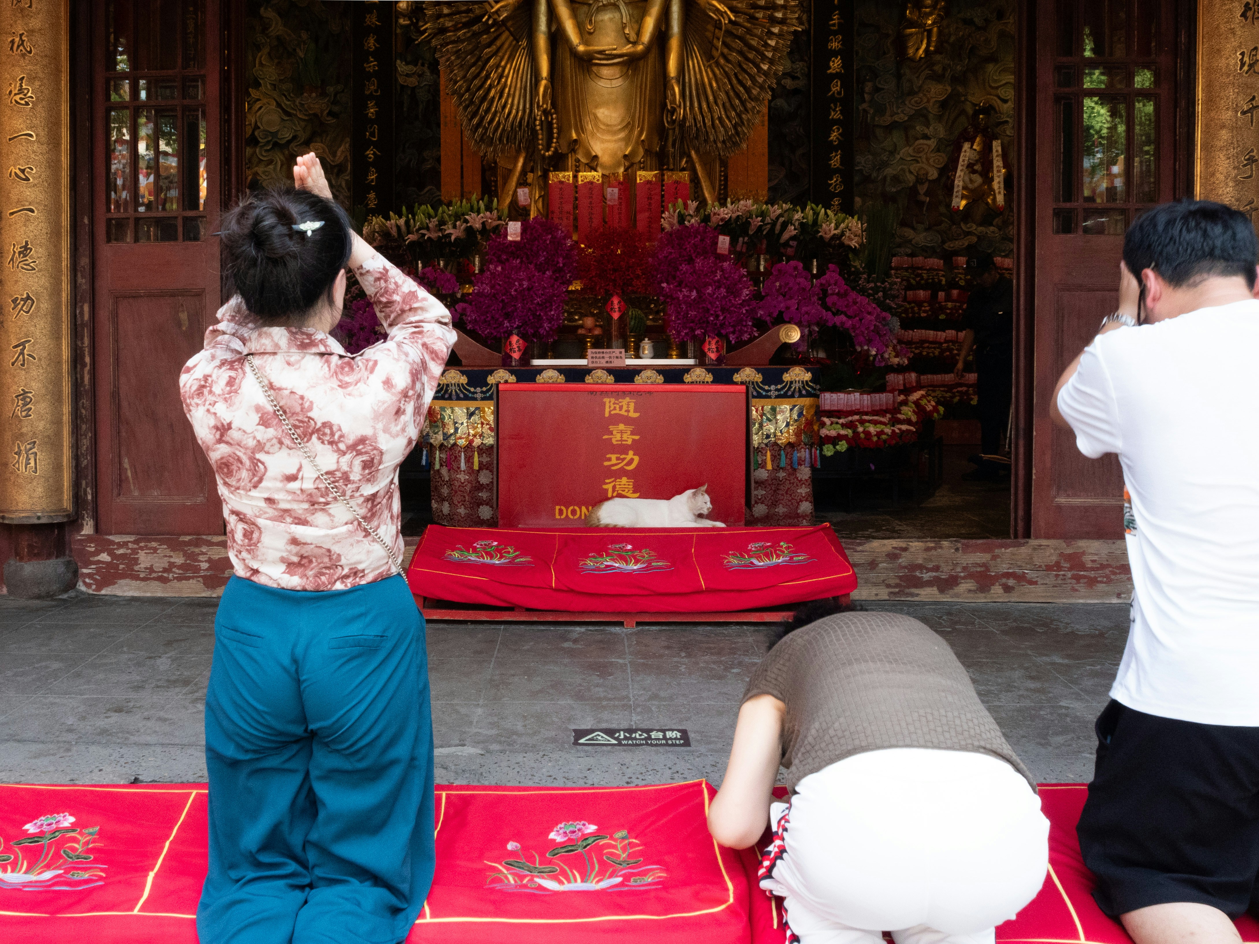 Best Muay Thai Shin Guards: Top Picks for 2024