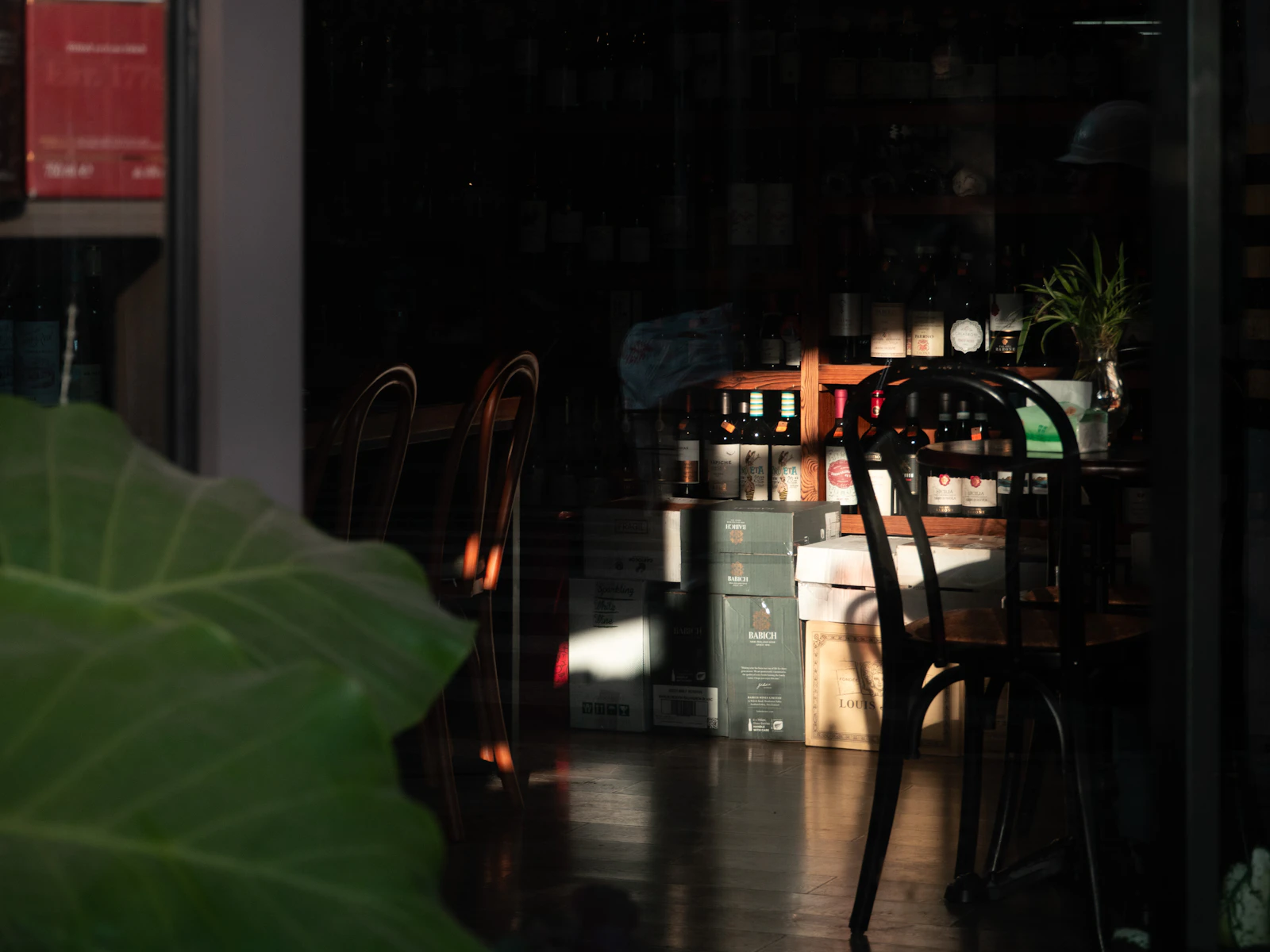 Vino Carta Wine Shop and Bar
