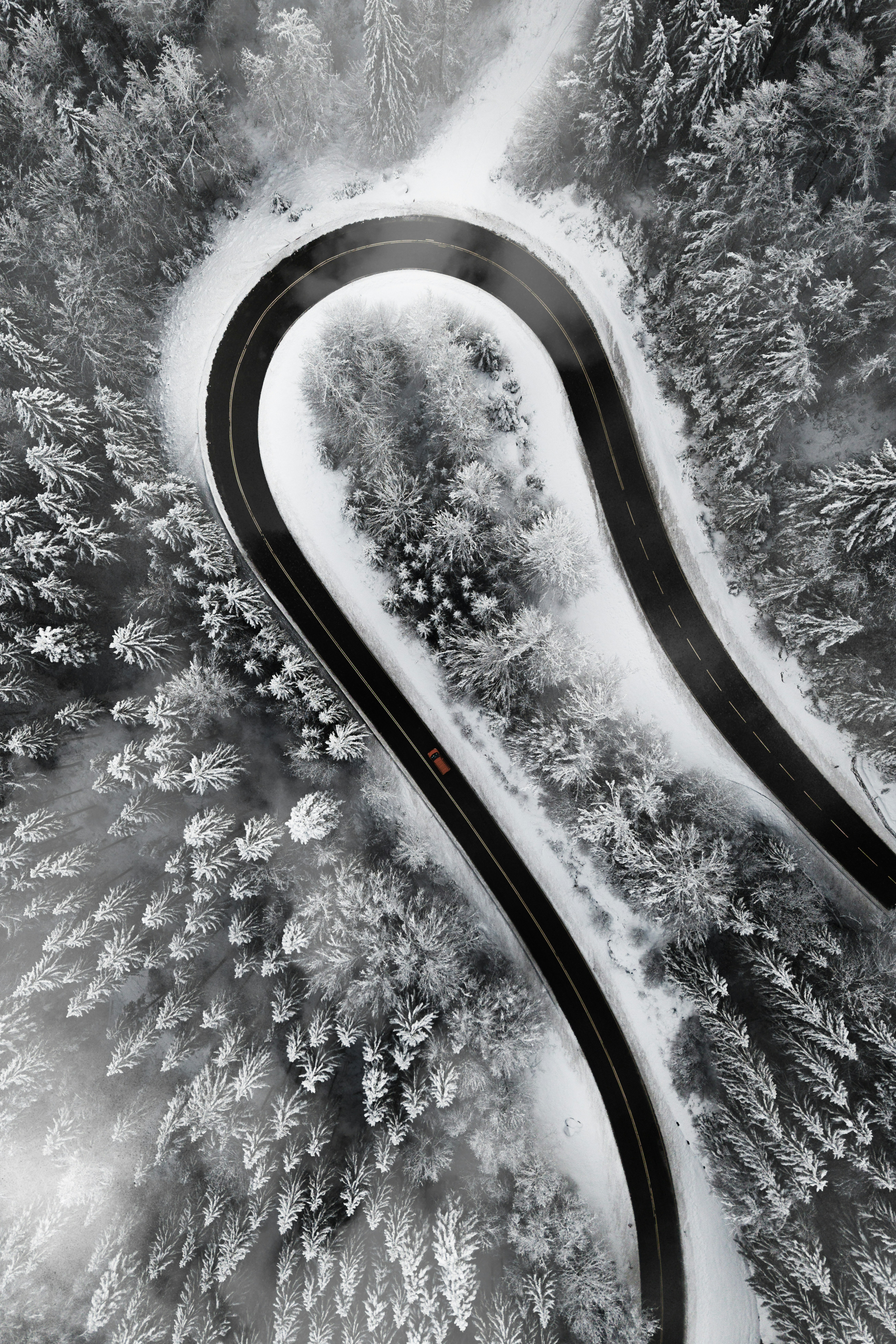 A winding road through a snow-covered forest