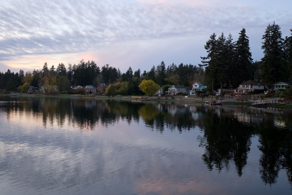 Calm lake reflecting trees and houses - How to sell a waterfront home on Lake Norman