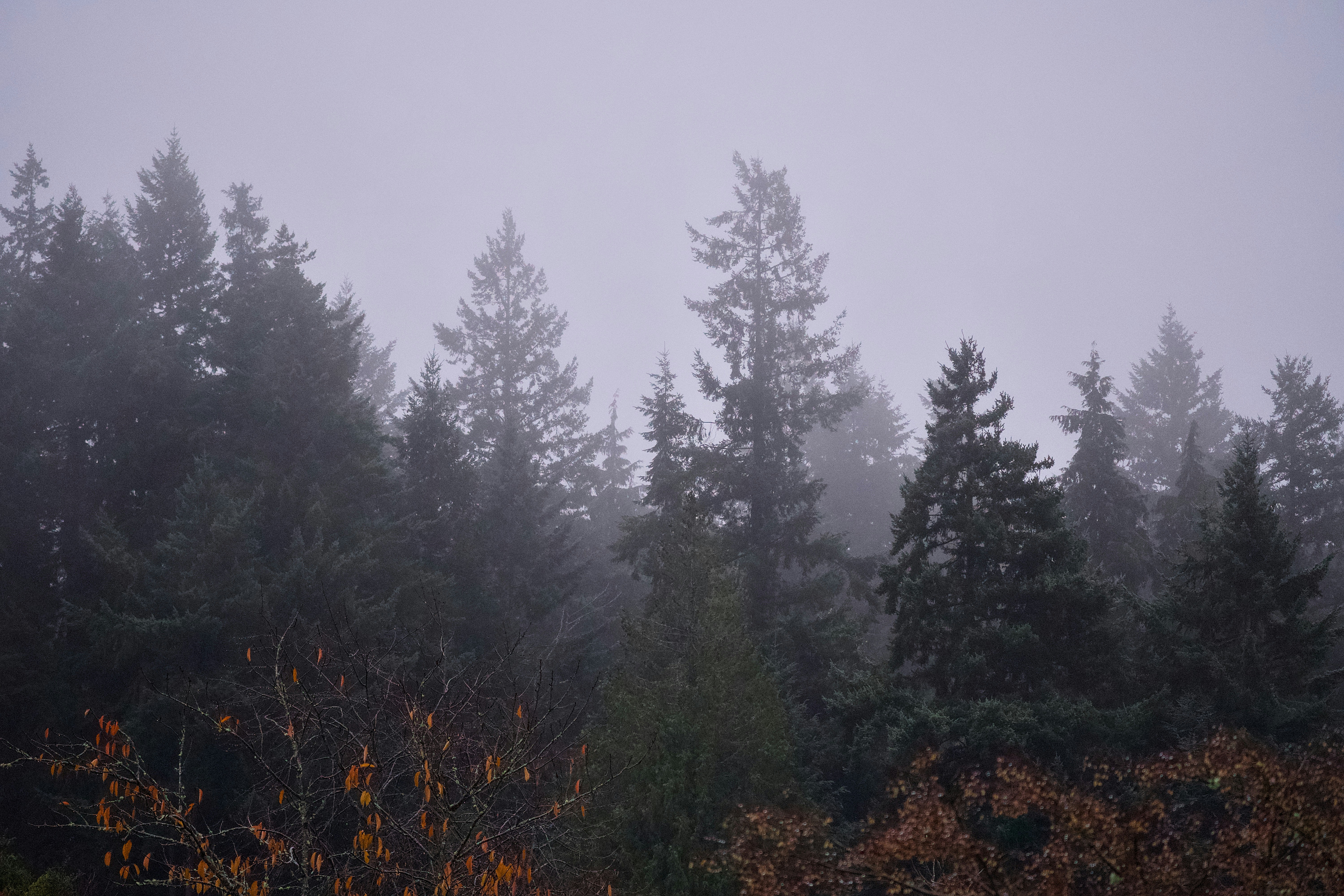 Photo by alexstonepnw