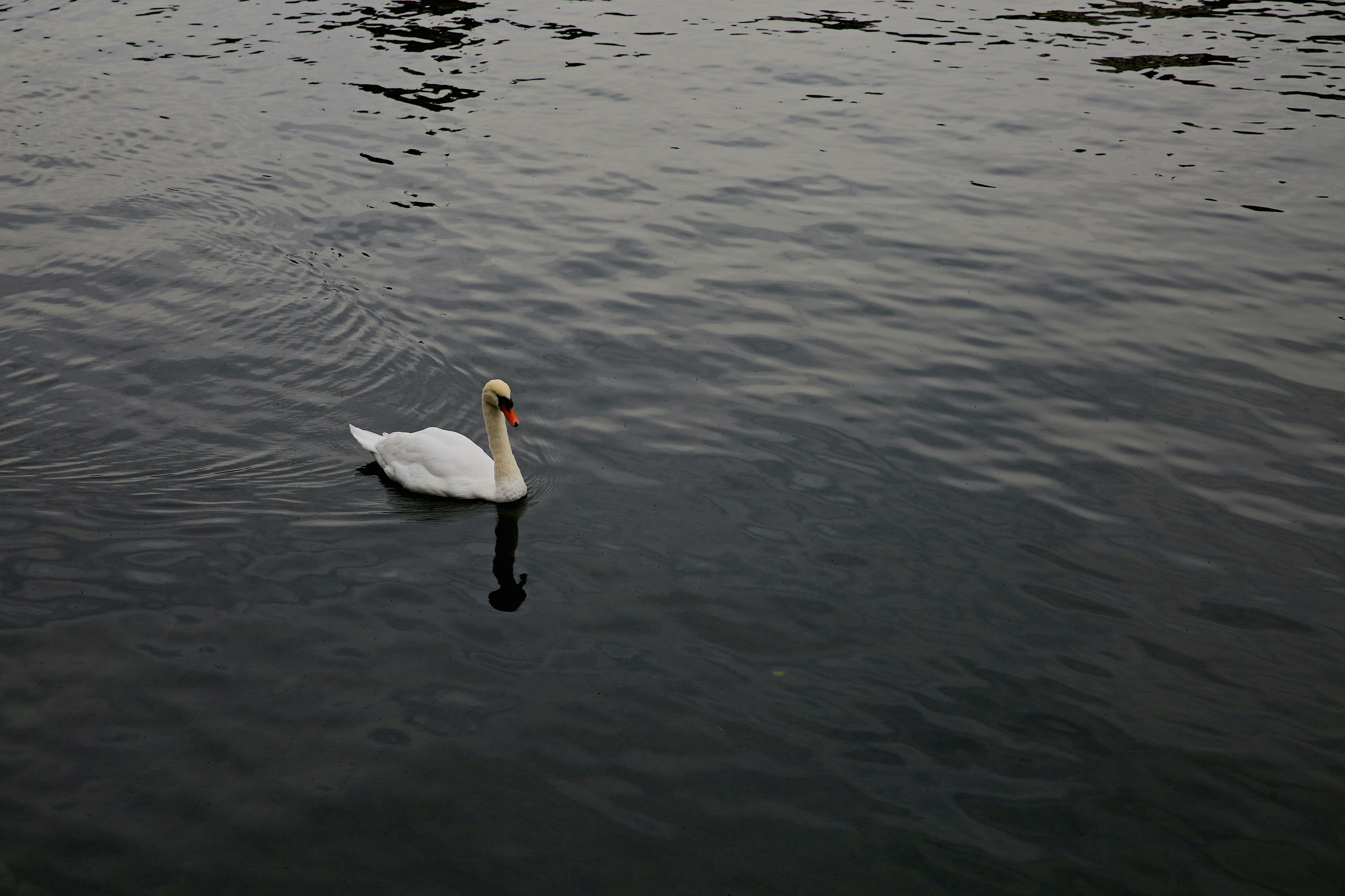 Photo by jasonmiao421