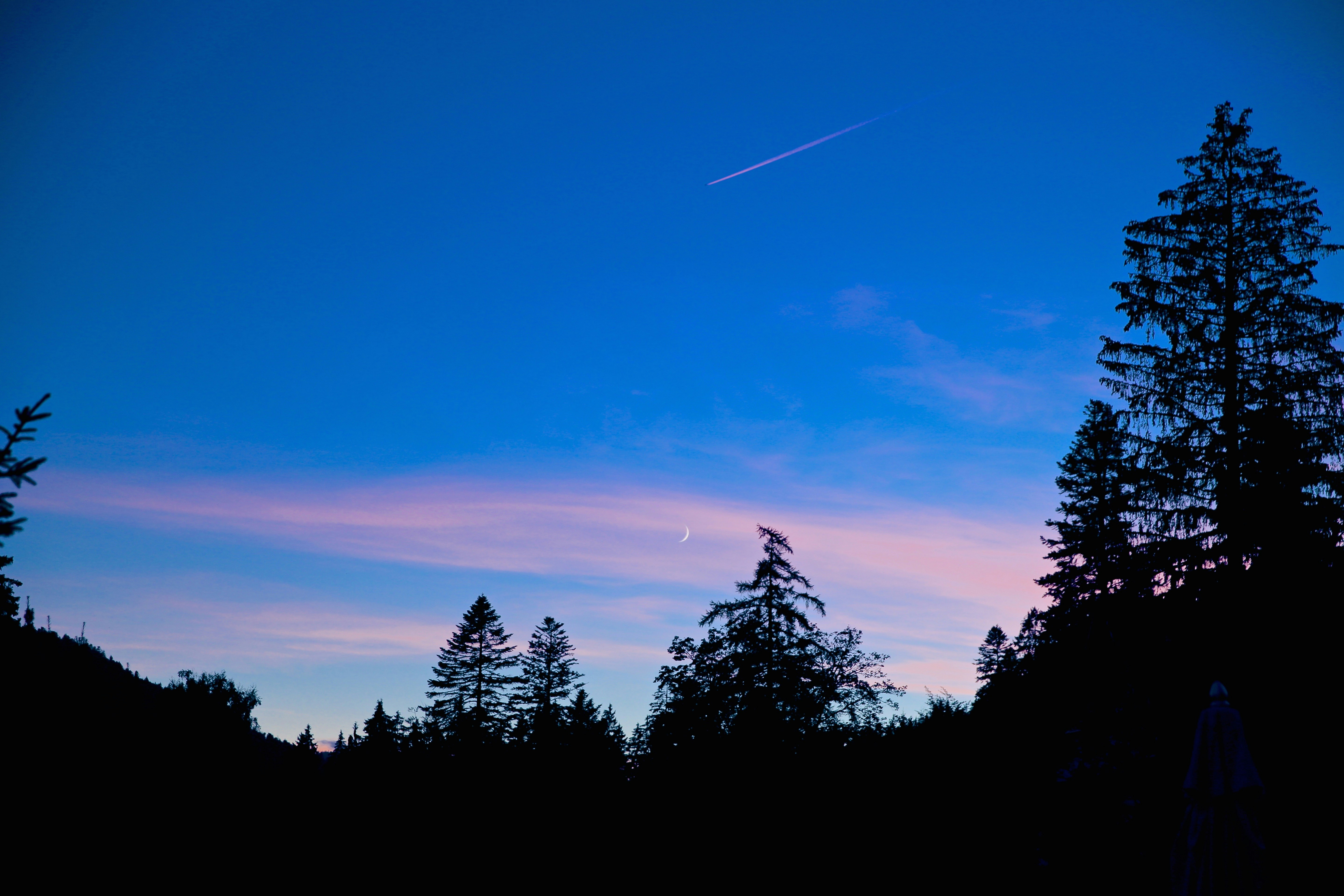 Photo by jasonmiao421