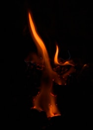 Orange flames burning in the dark