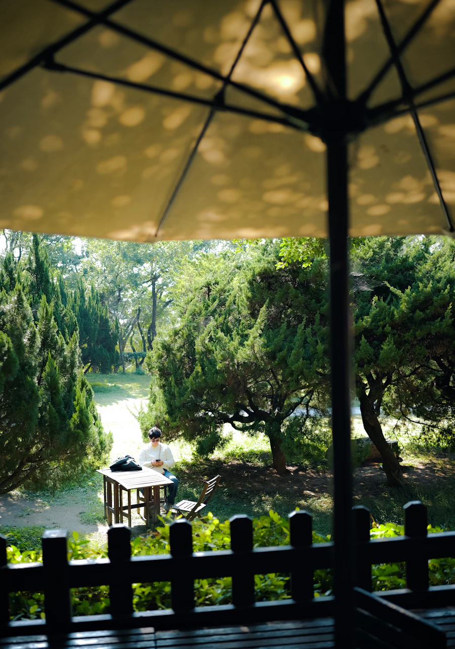 Table set outdoors in dappled summer light