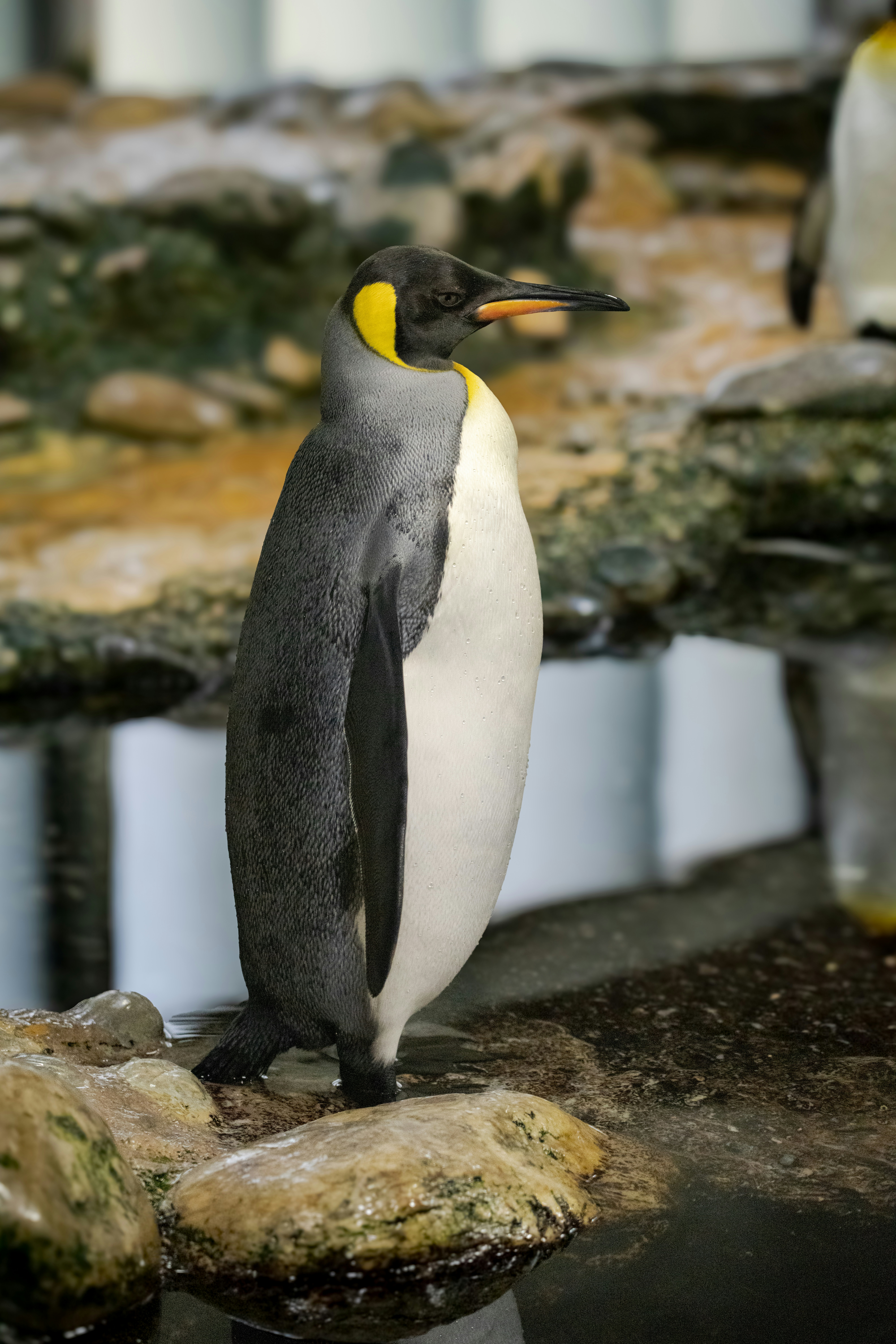 Photo by nathan030997