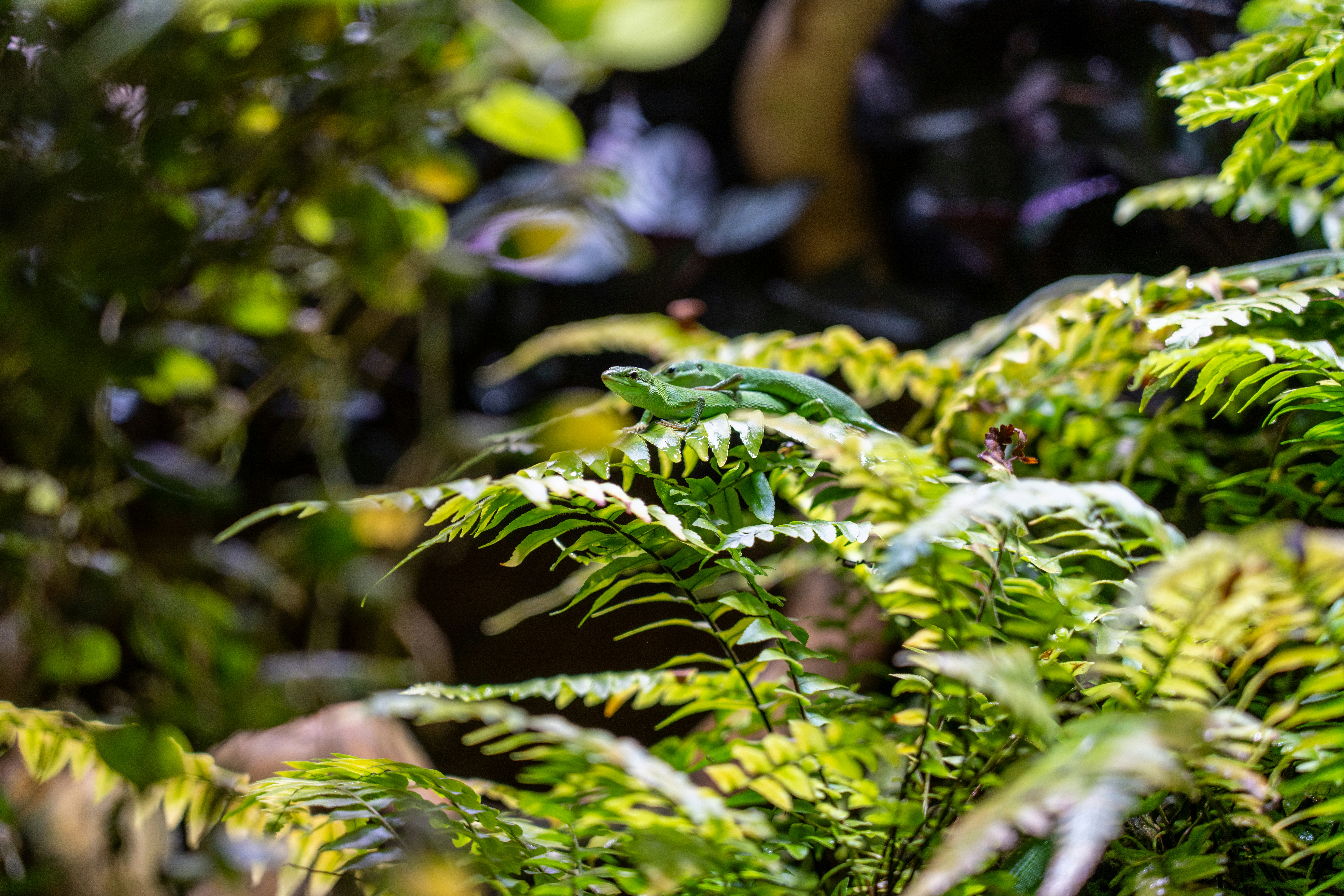 Photo by nathan030997