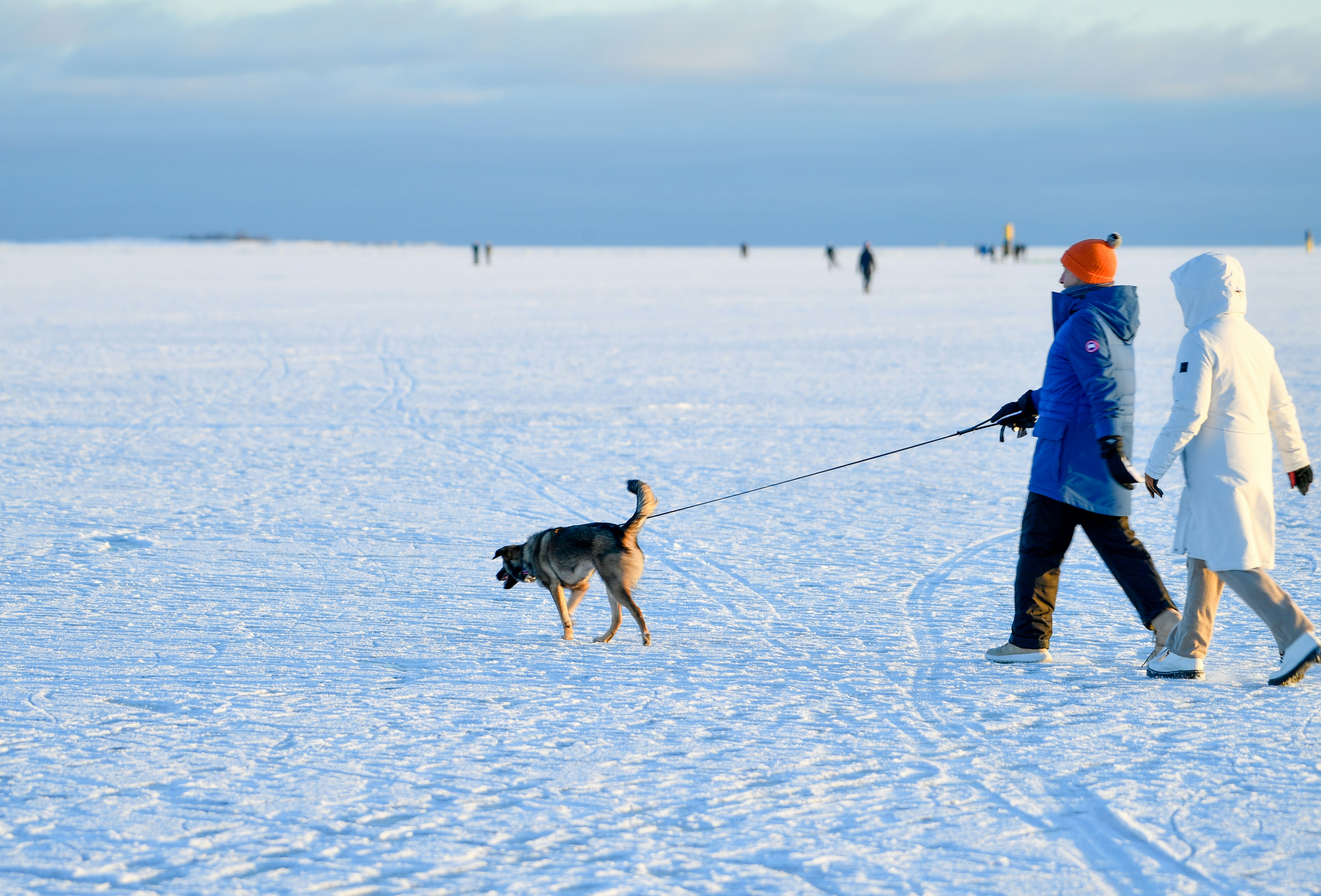 Helsinki & Saimaa Romantic Escape Voyage