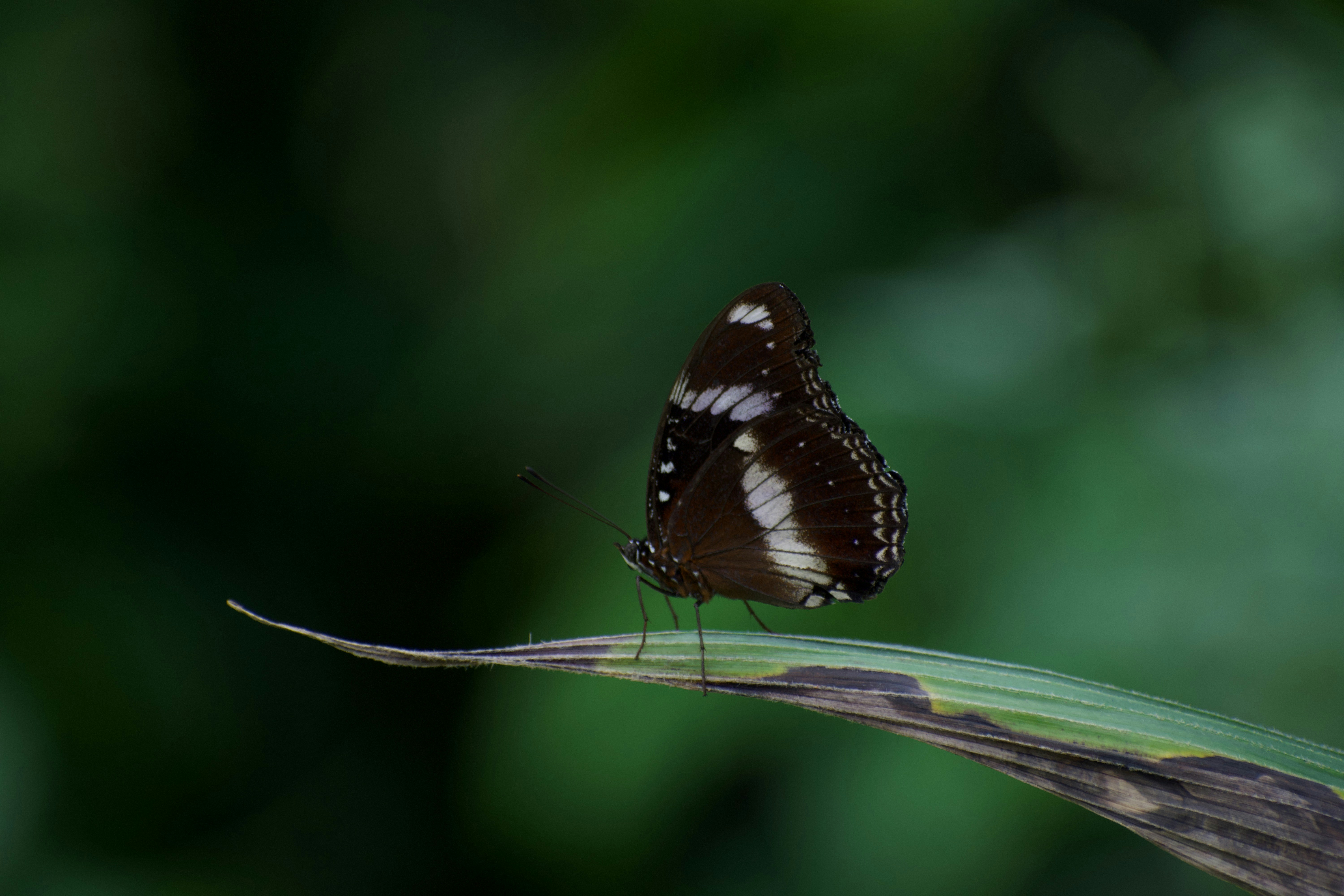 Photo by nomehart
